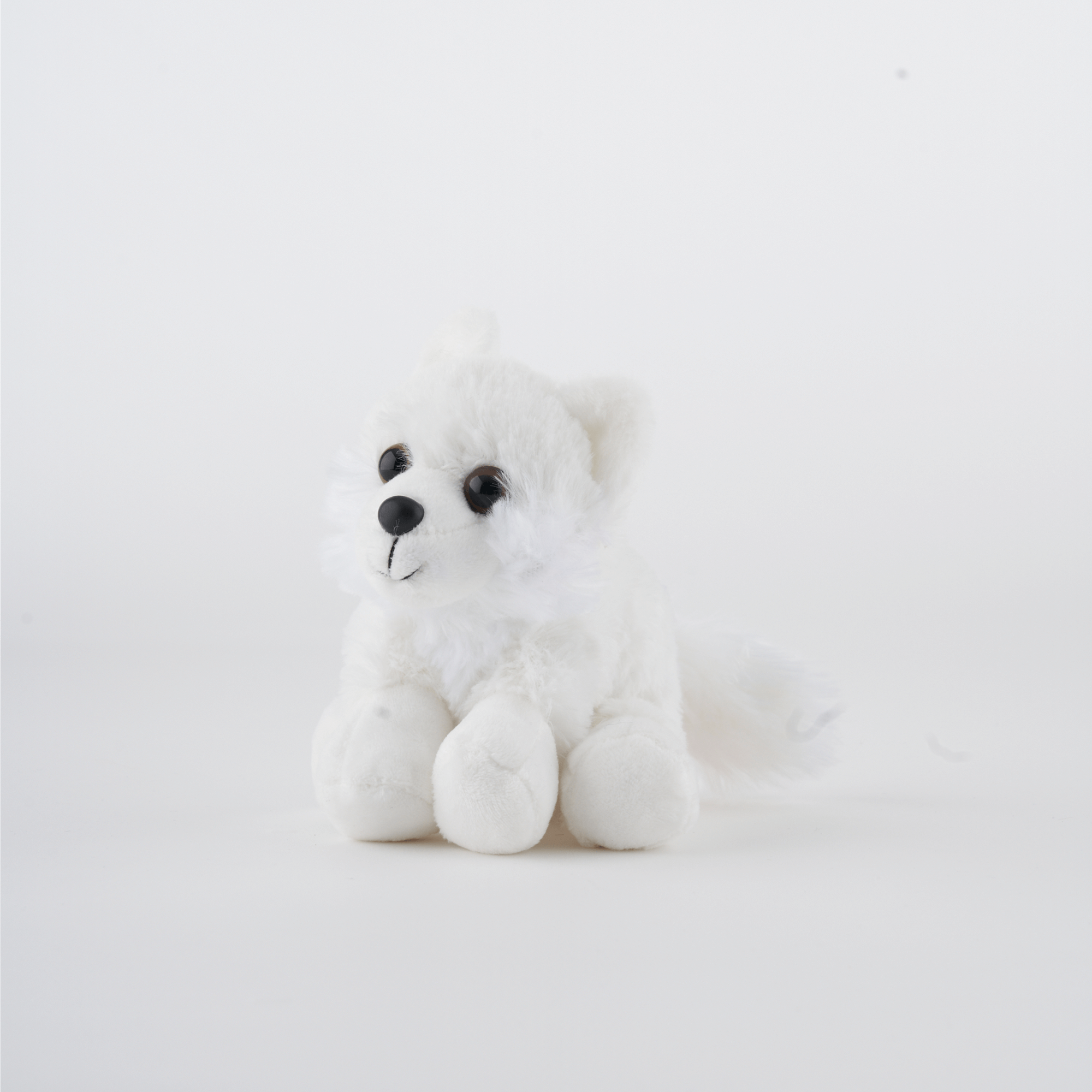Arctic Fox Adoption Kit