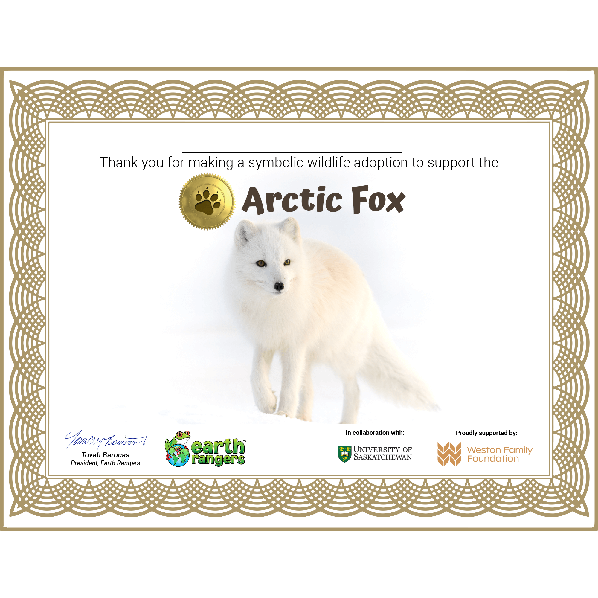 Arctic Fox Adoption Kit
