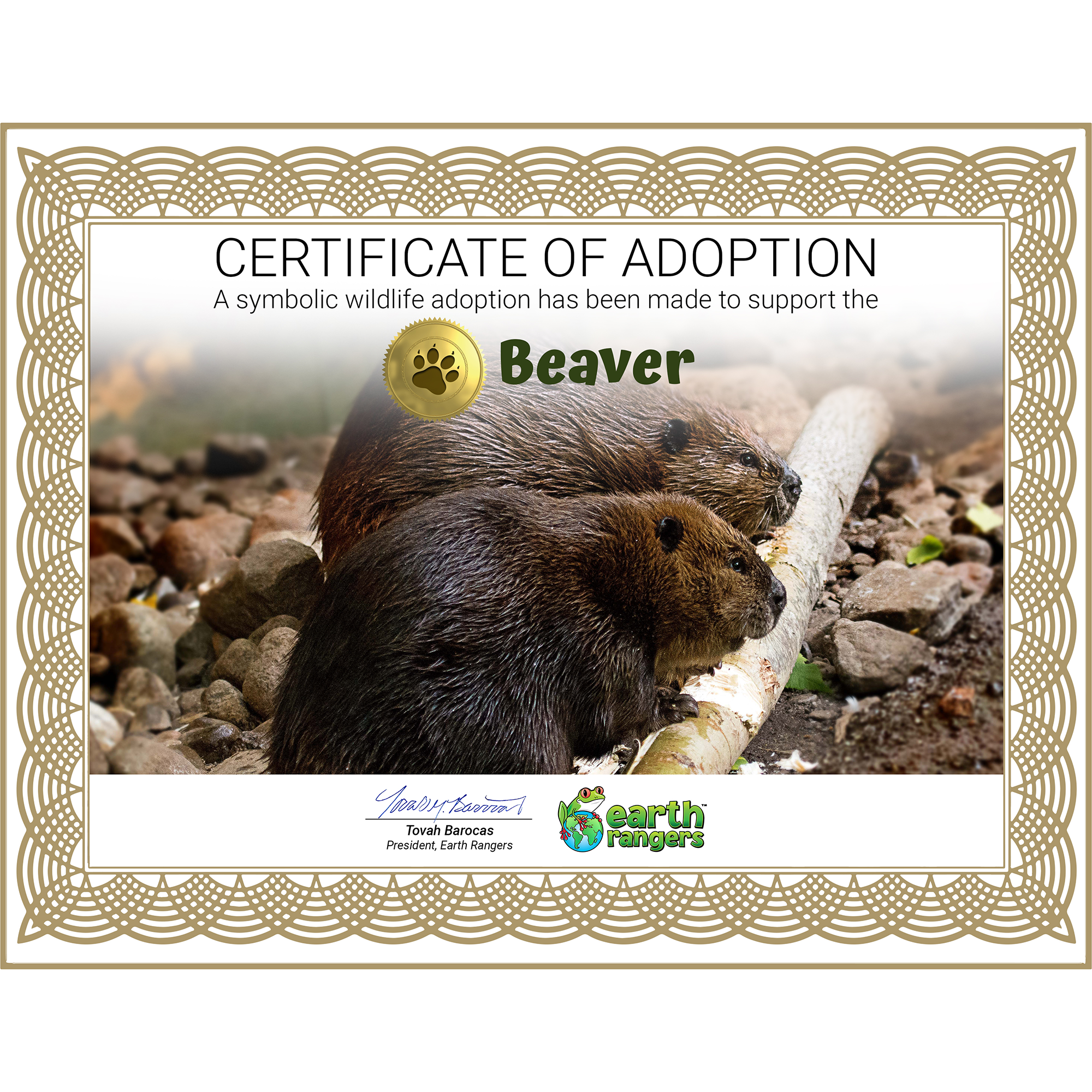 Beaver Adoption Kit - Plush Bundle