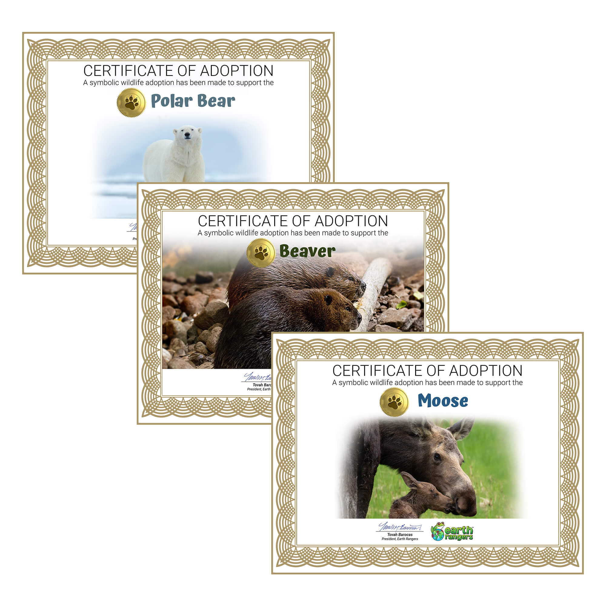 The Northern Collection