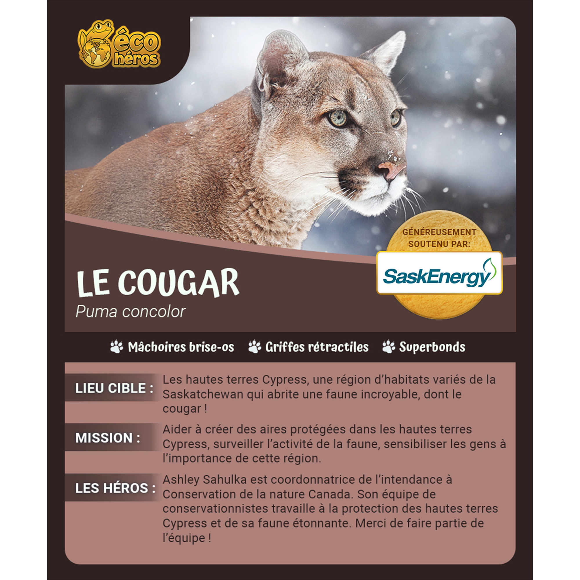 Ensemble d’adoption du cougar - Peluche