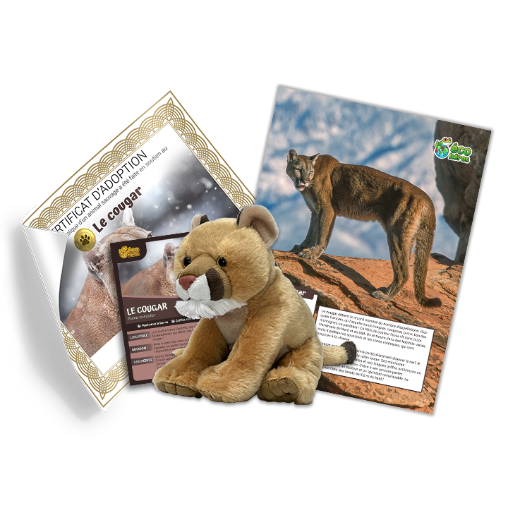 Ensemble d’adoption du cougar - Peluche