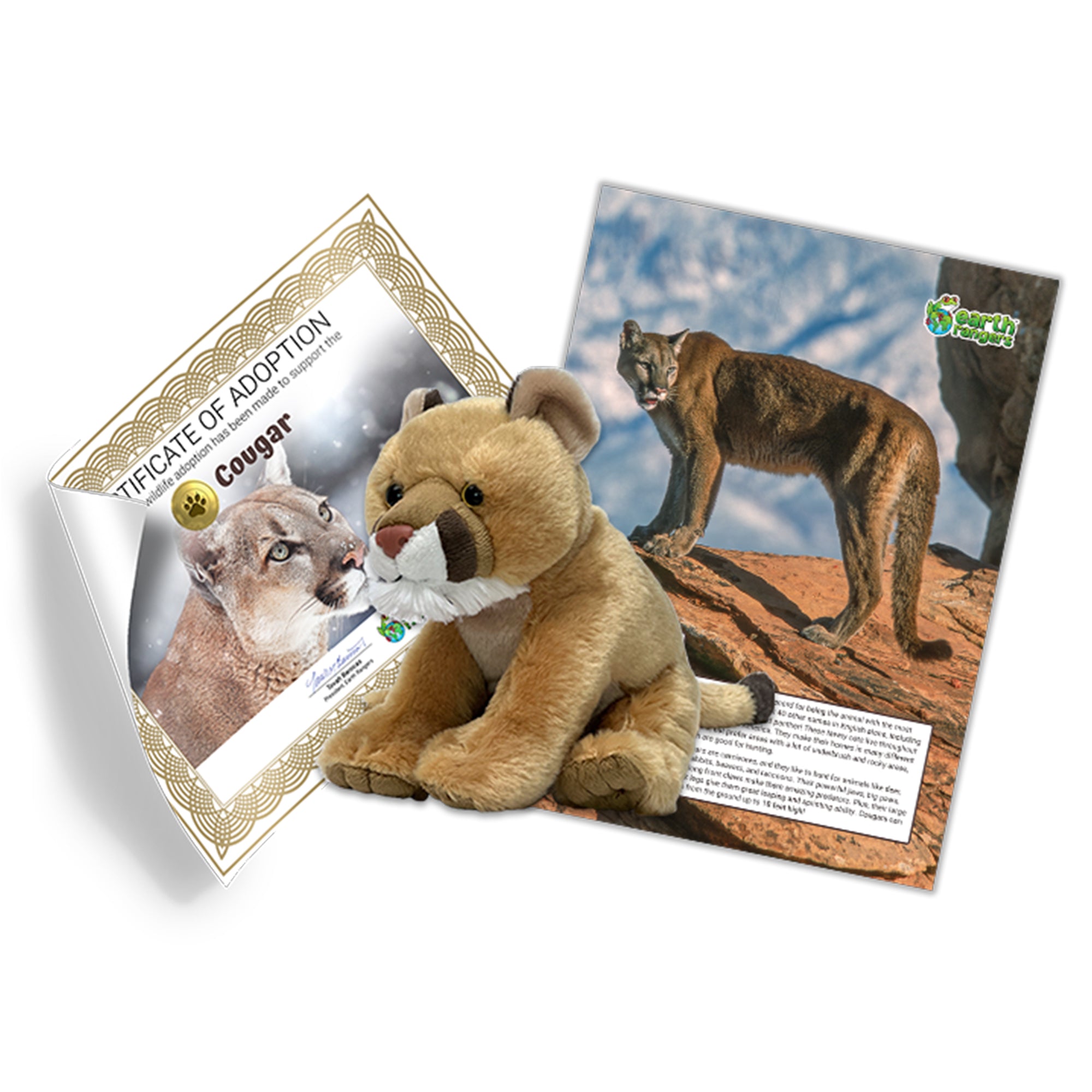 Cougar Adoption Kit - Plush Bundle
