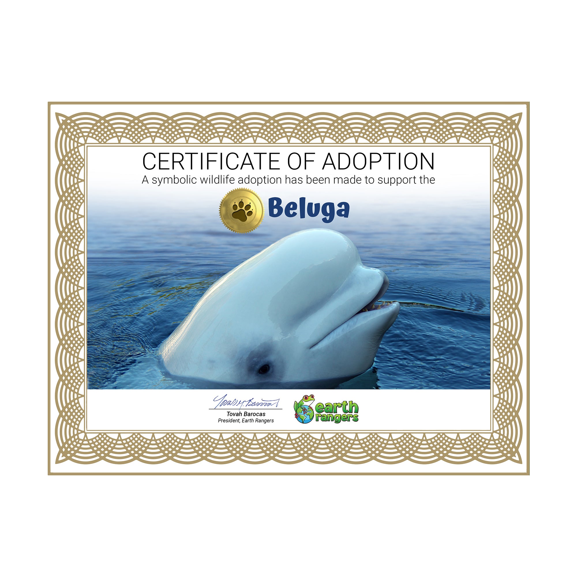 Beluga Adoption Kit - Plush Bundle
