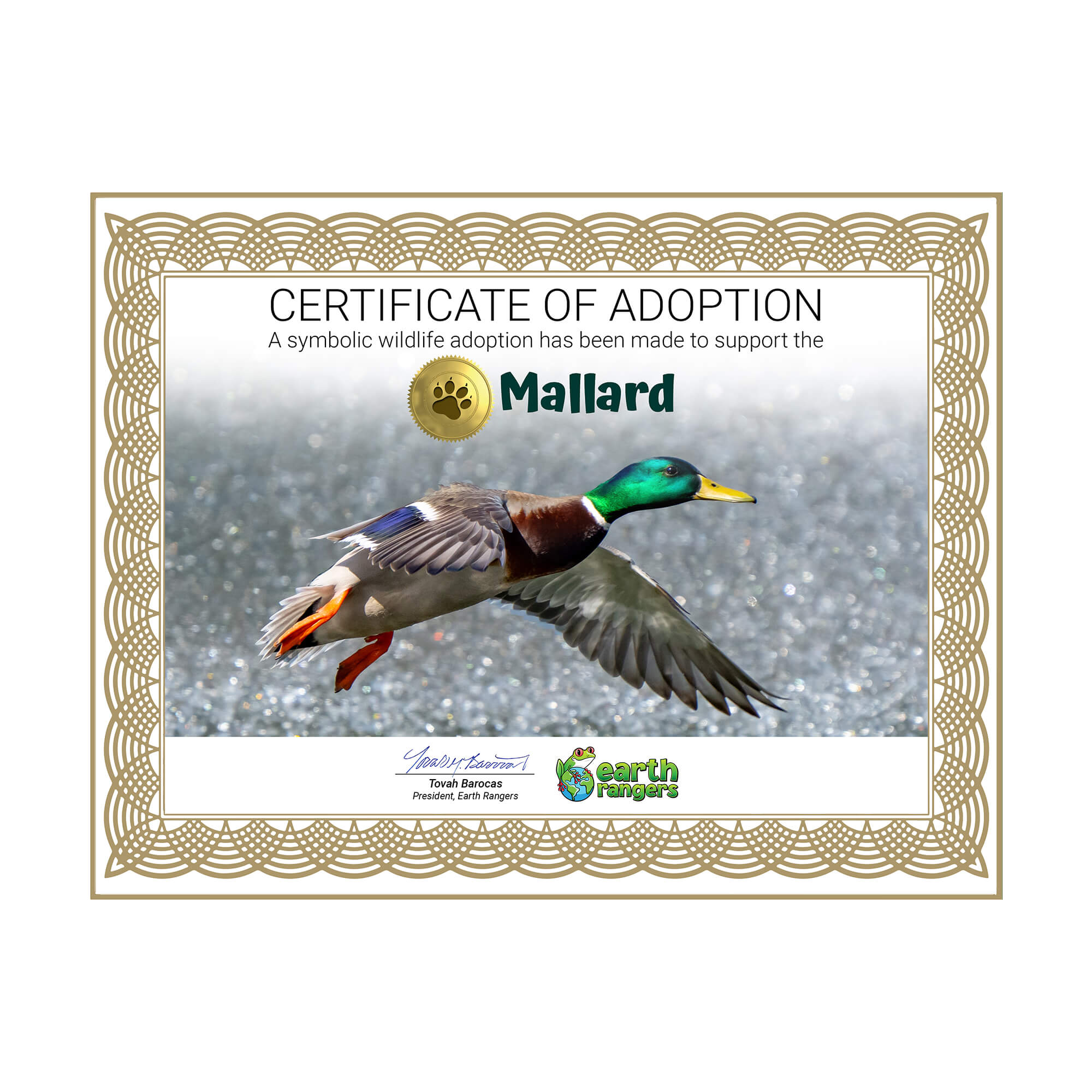 Mallard Adoption Kit - Plush Bundle