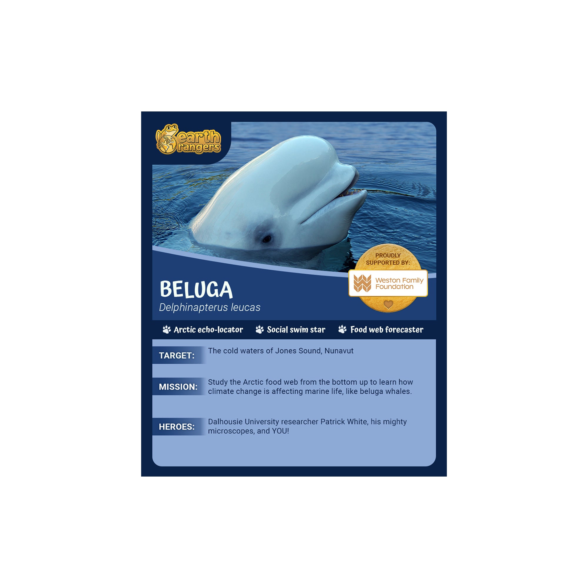 Beluga Whale Adoption Kit - Plush Bundle