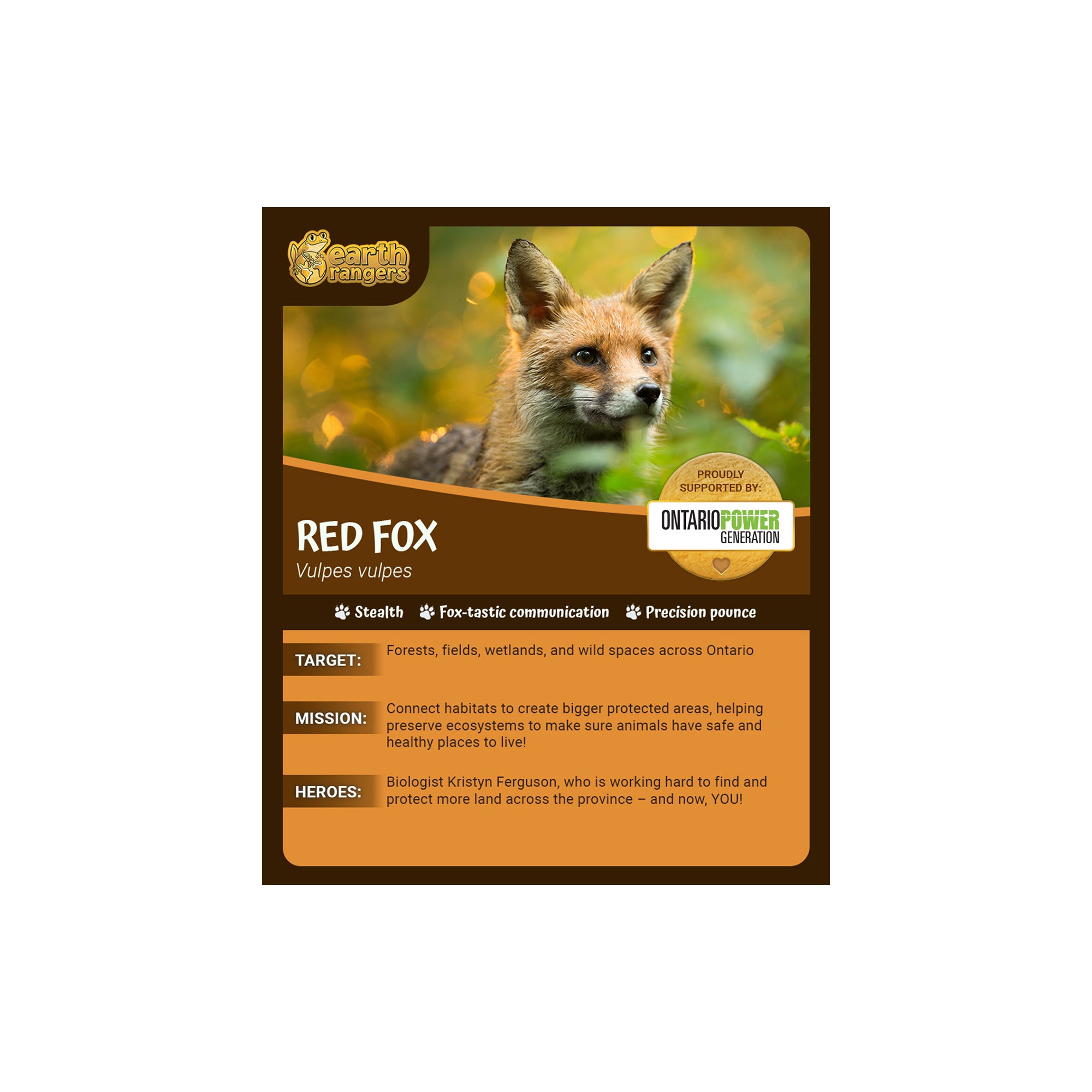 Red Fox Adoption Kit