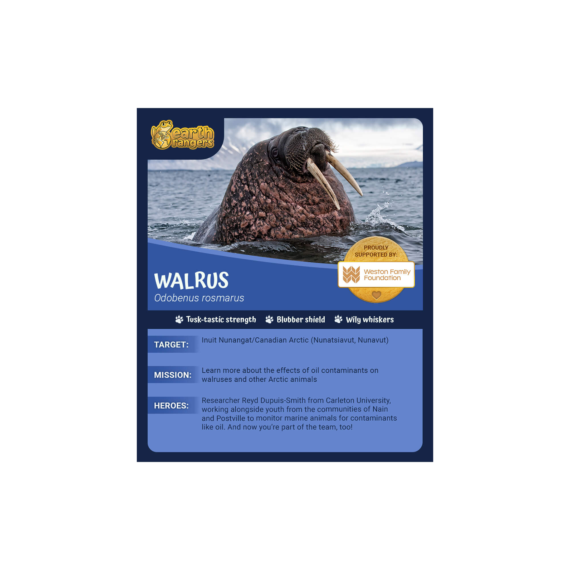 Walrus Adoption Kit - Plush Bundle