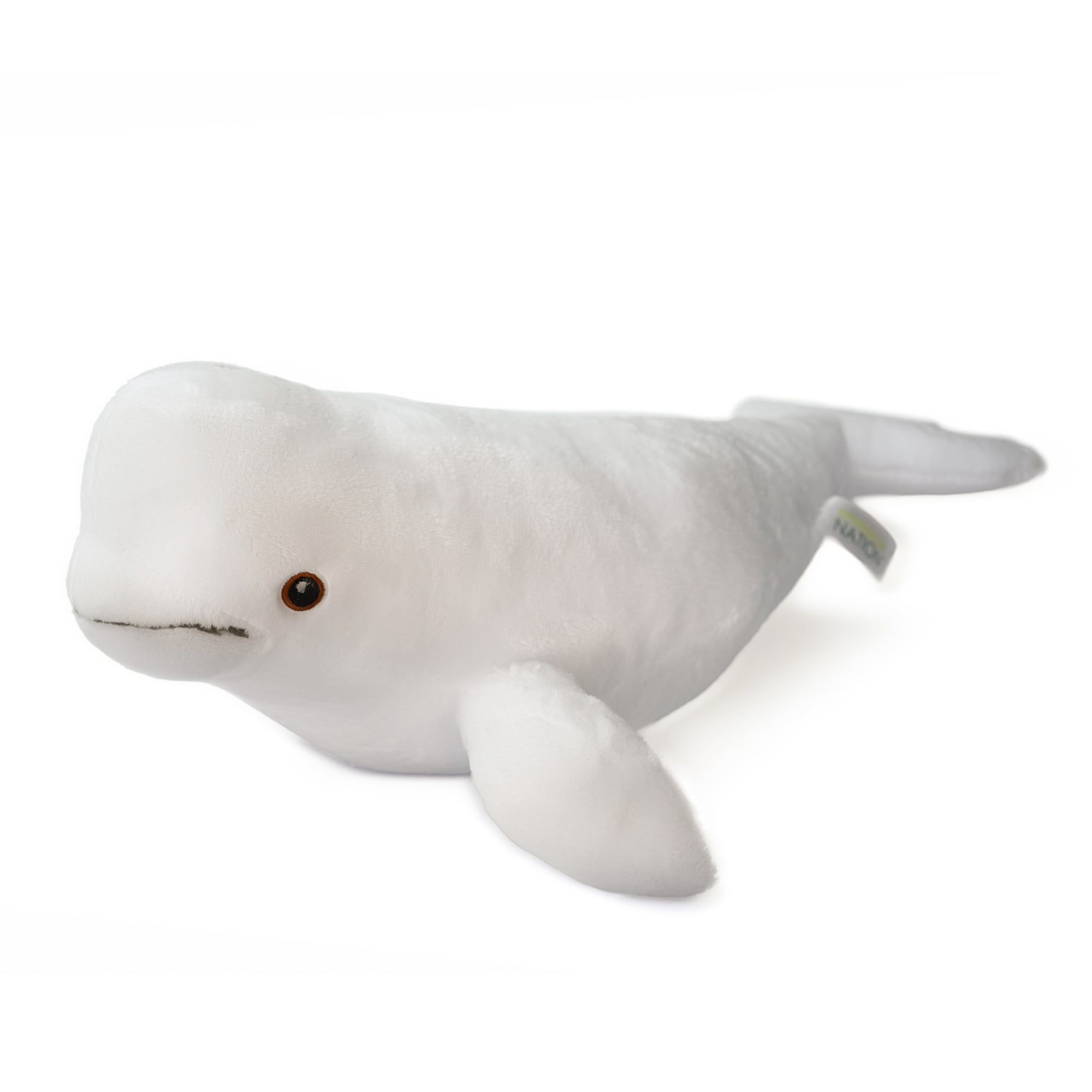 Beluga Adoption Kit - Plush Bundle