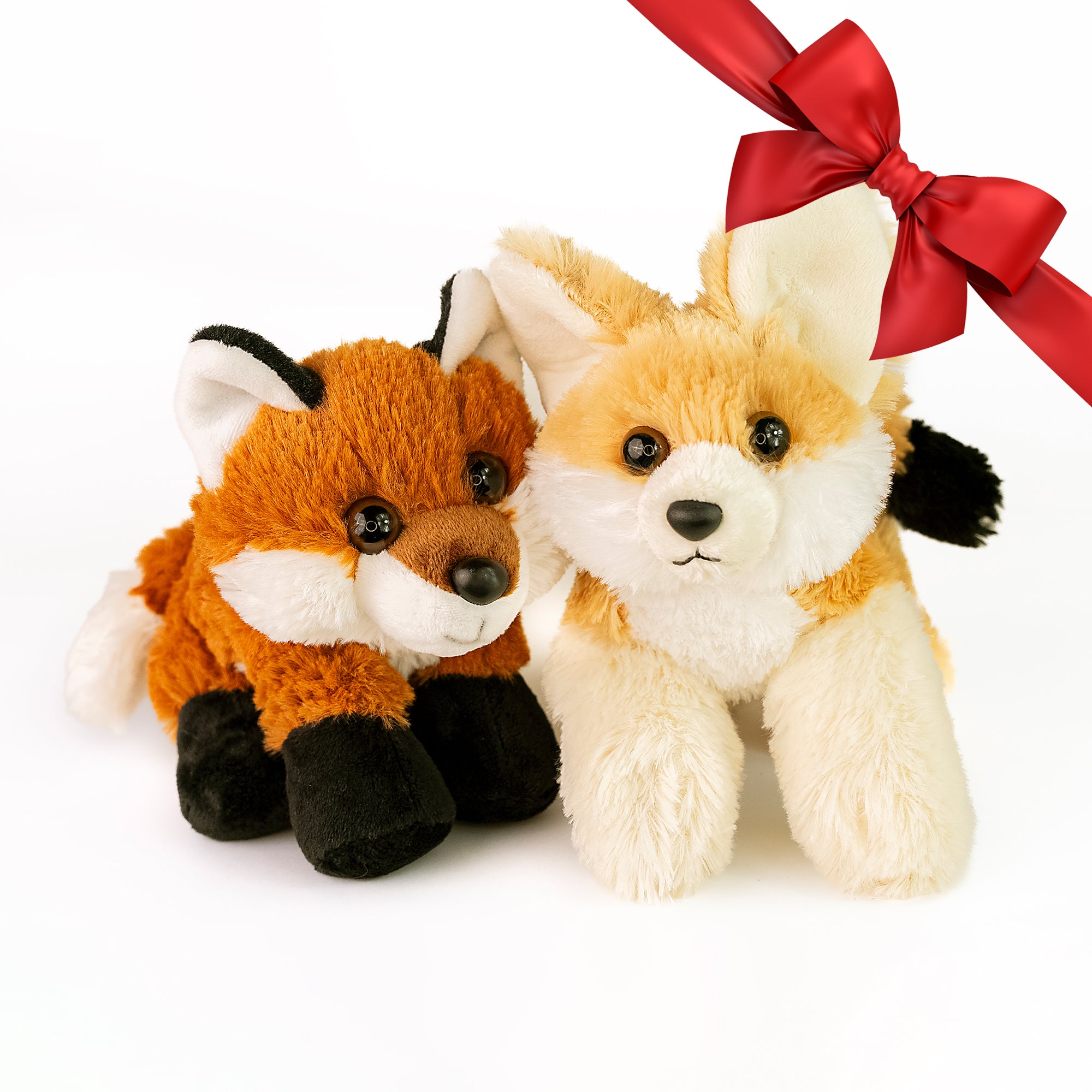 Renards Éternels