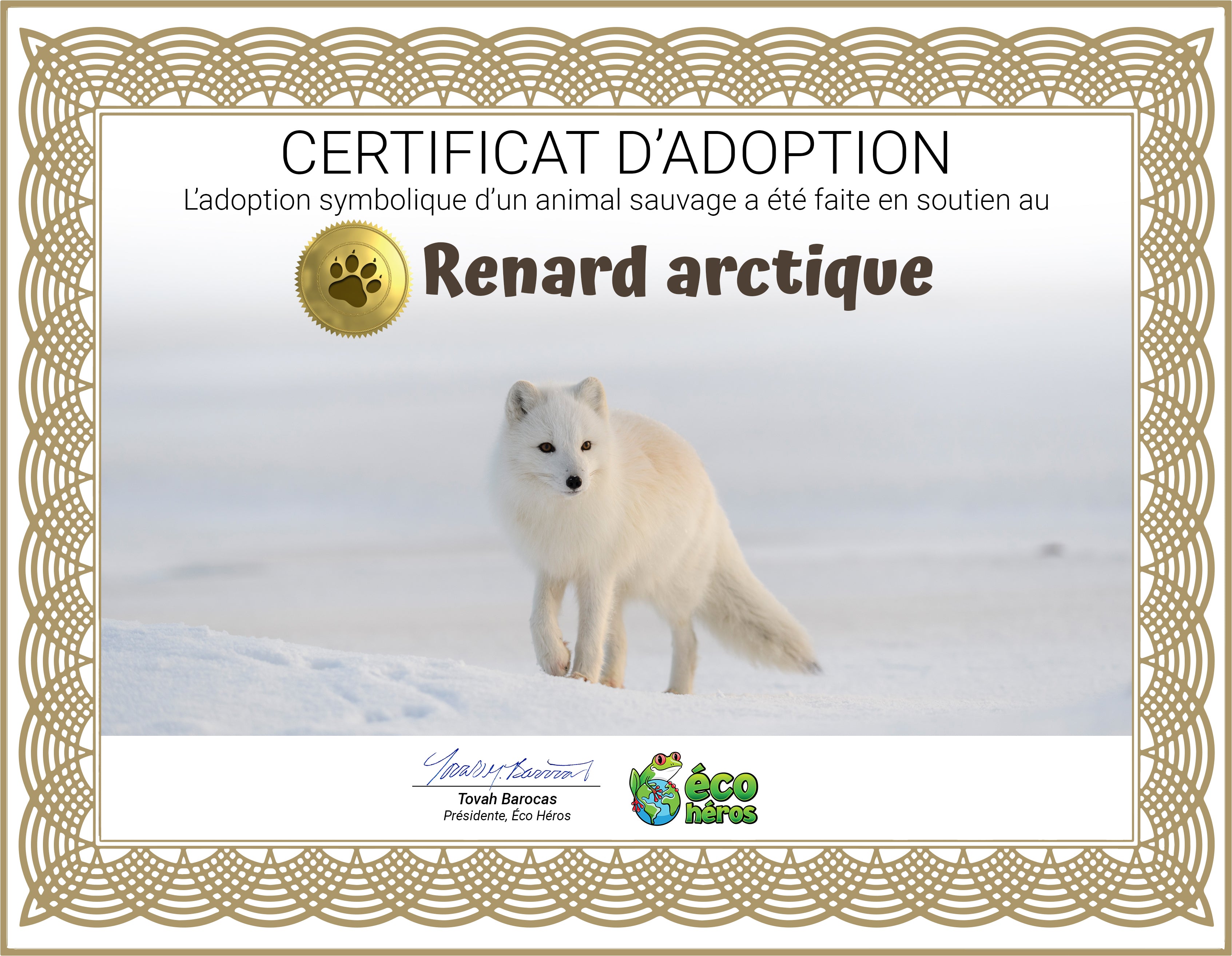 Ensemble d'adoption du renard arctique - Peluche