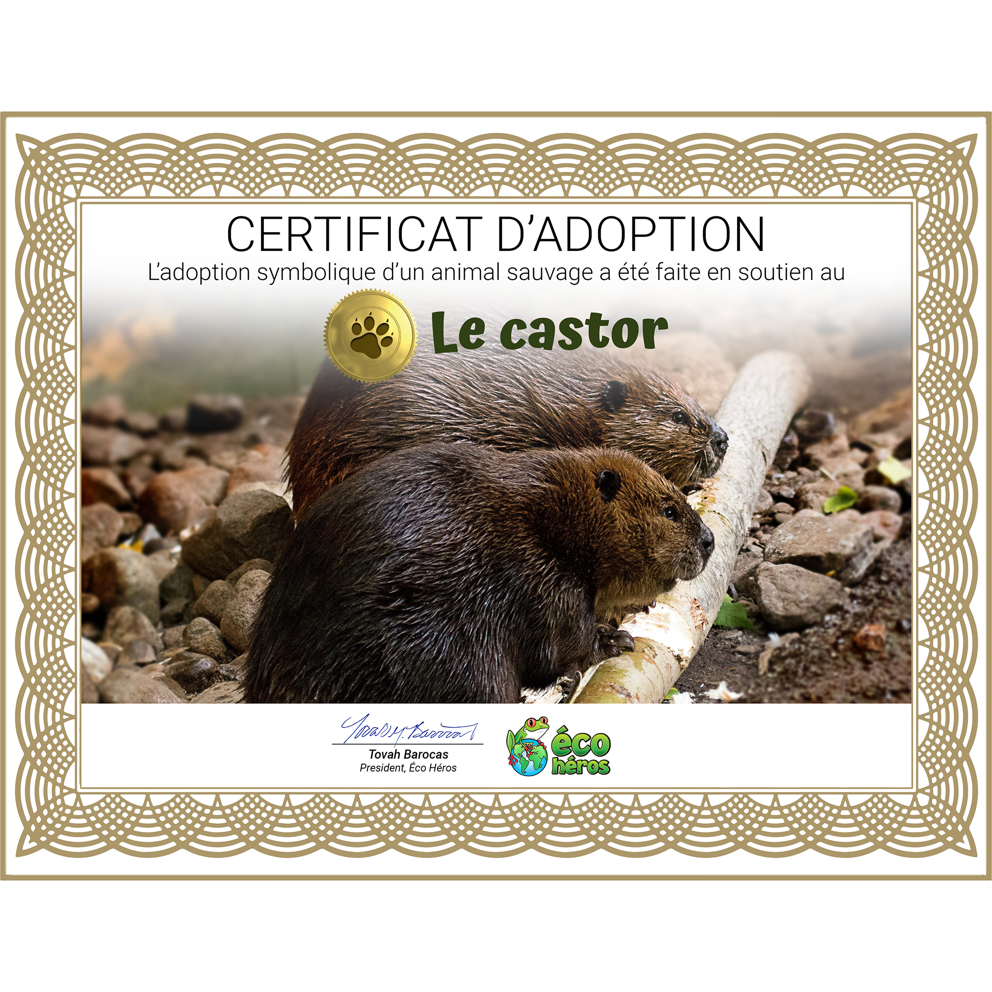 Ensemble d’adoption du castor - Peluche