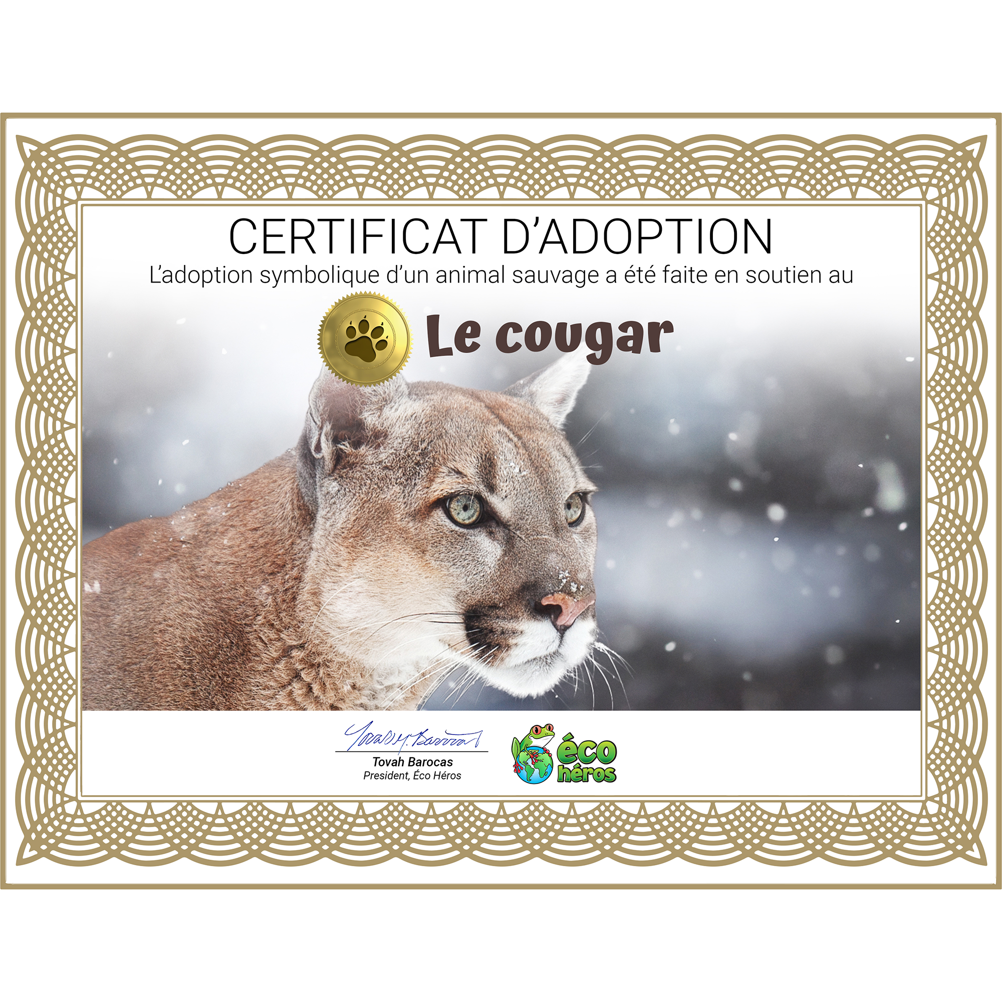Ensemble d’adoption du cougar - Peluche
