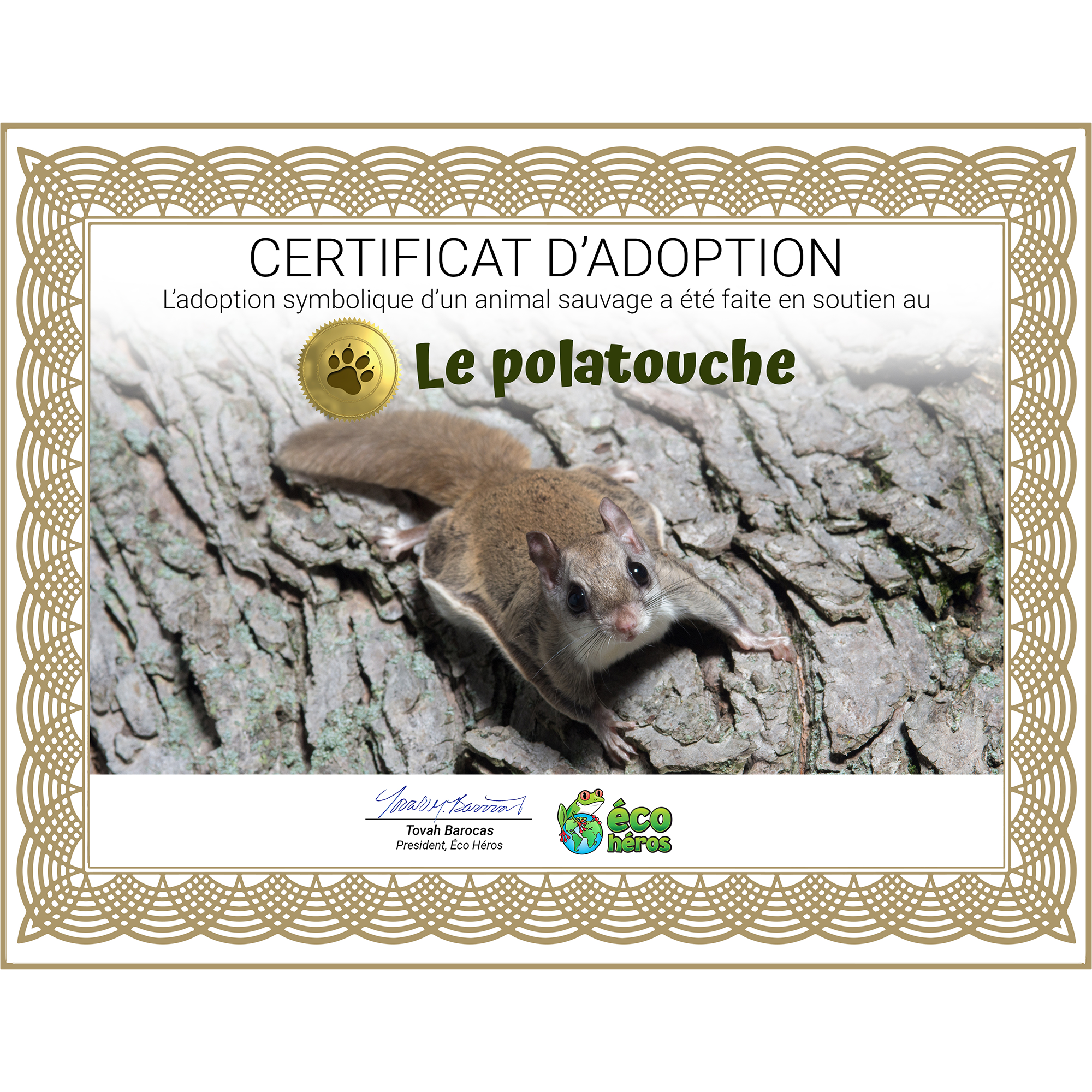 Ensemble d’adoption du polatouche