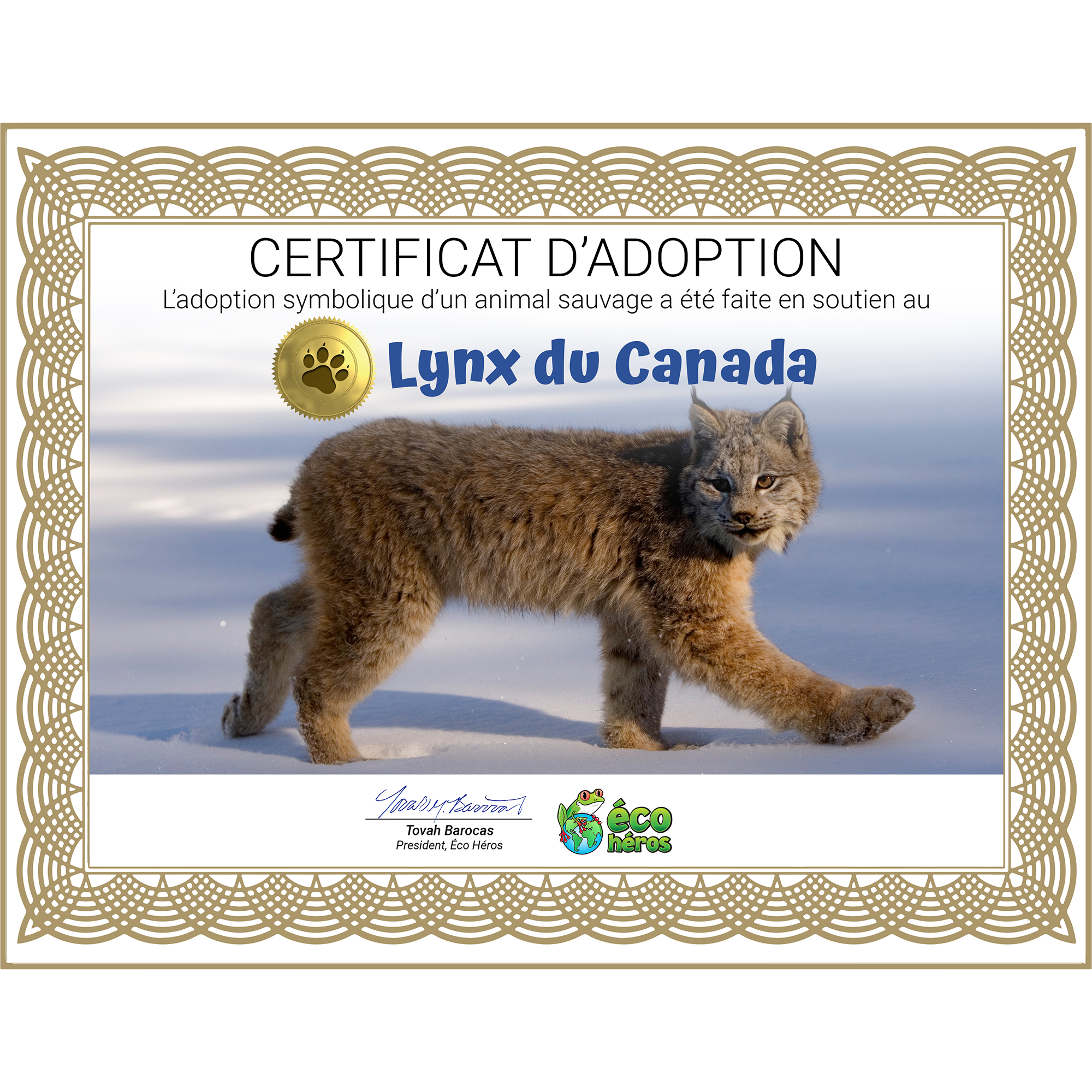 Ensemble d’adoption du lynx du Canada - Peluche