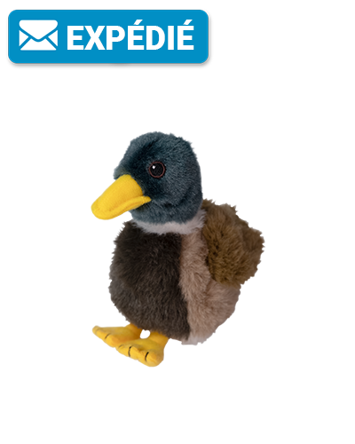 Ensemble d'adoption du colvert - Peluche