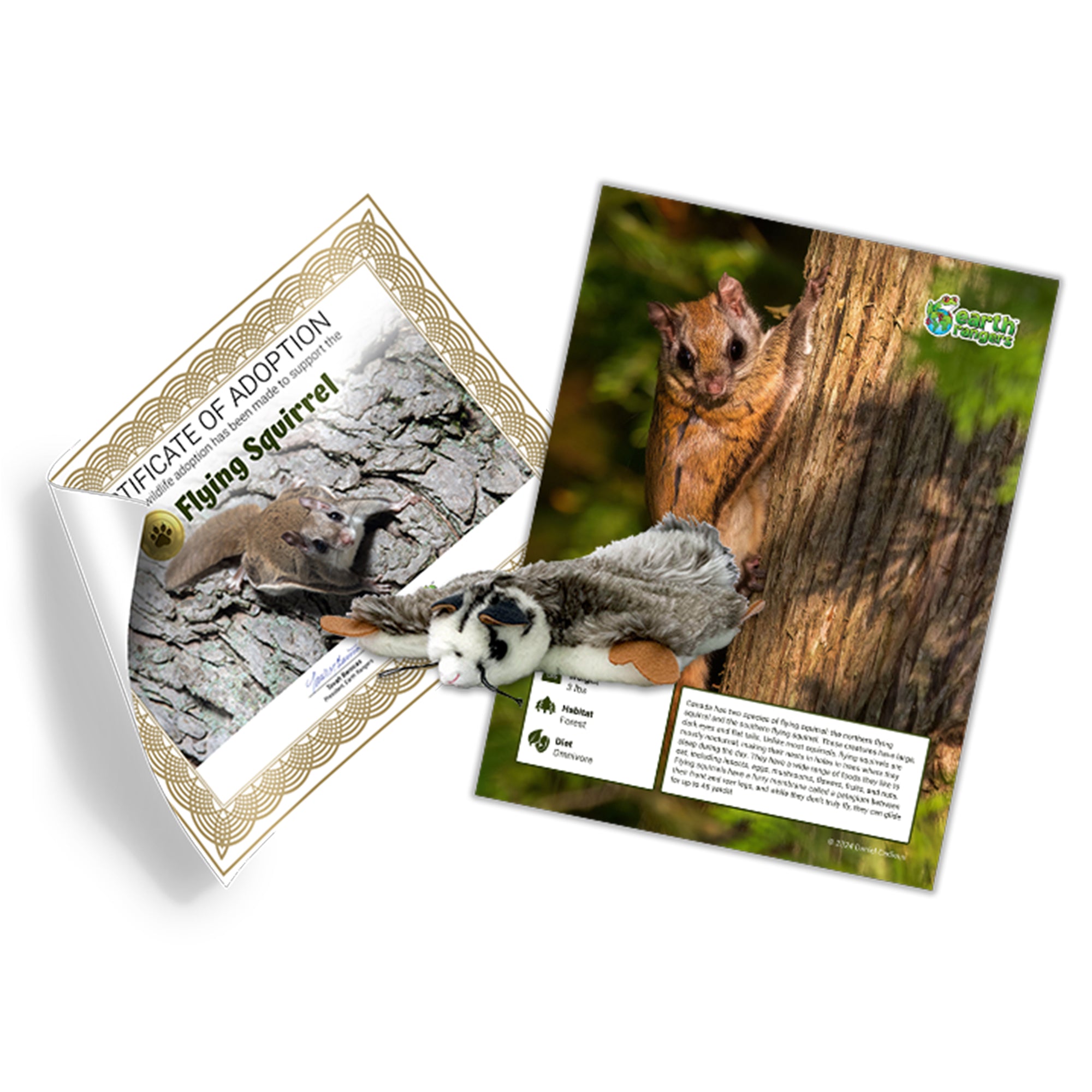 Flying Squirrel Adoption Kit - Plush Bundle