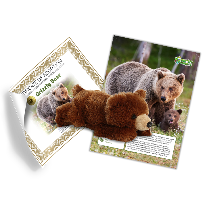 Grizzly Bear Adoption Kit