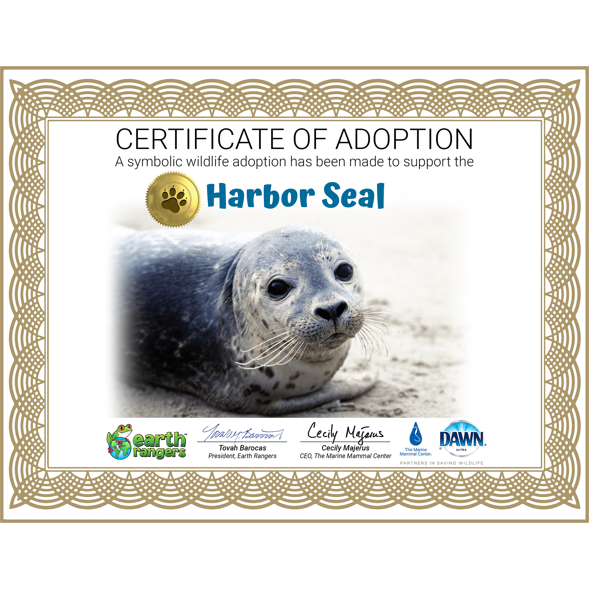 Harbor Seal Adoption Kit