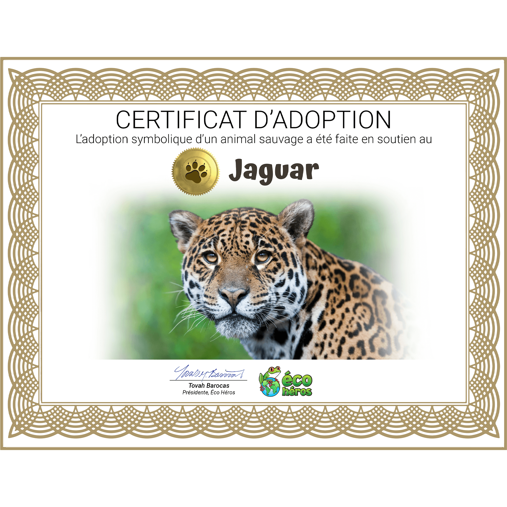 Ensemble d’adoption de jaguar