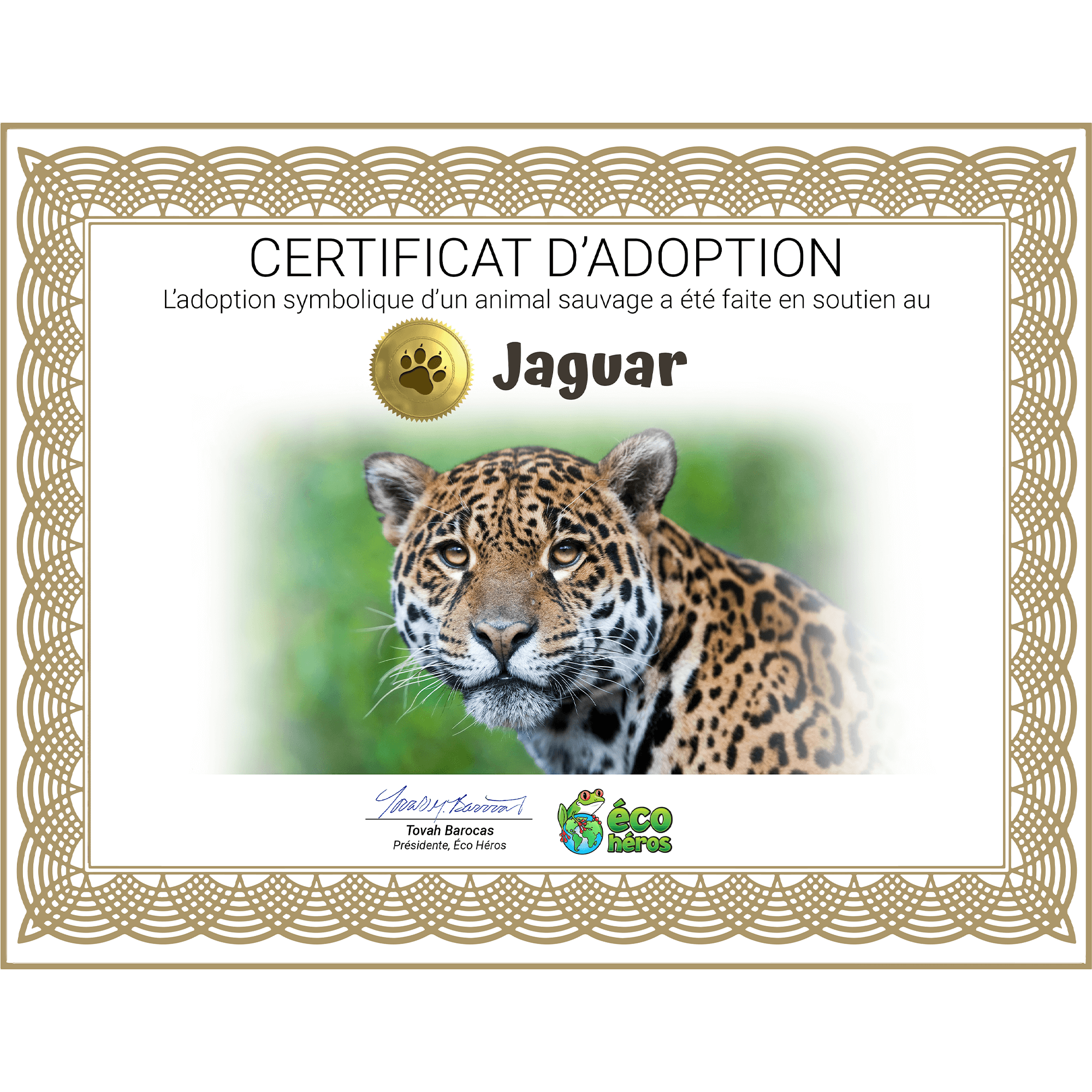 Ensemble d’adoption de jaguar - Peluche