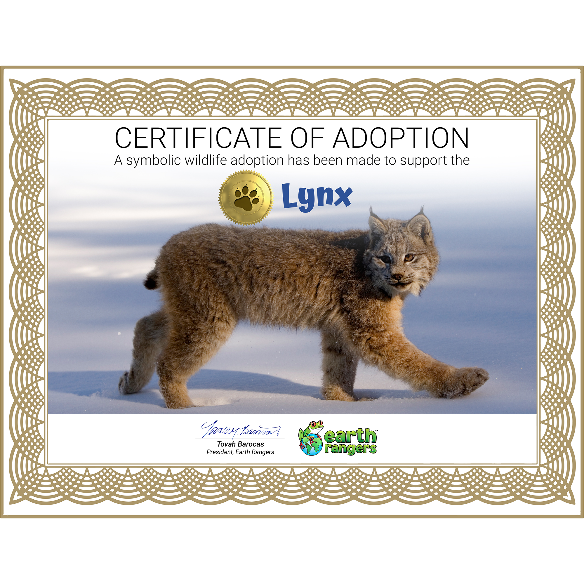 Lynx Adoption Kit