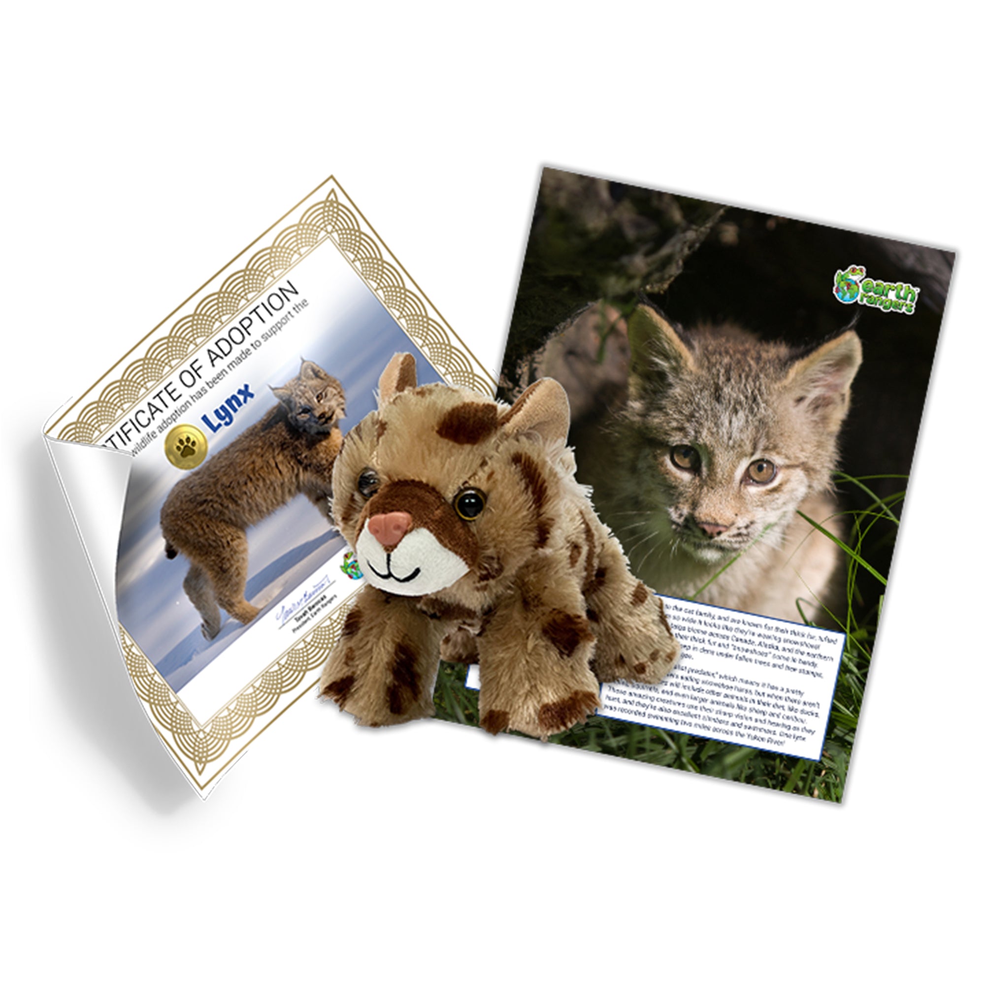 Lynx Adoption Kit - Plush Bundle