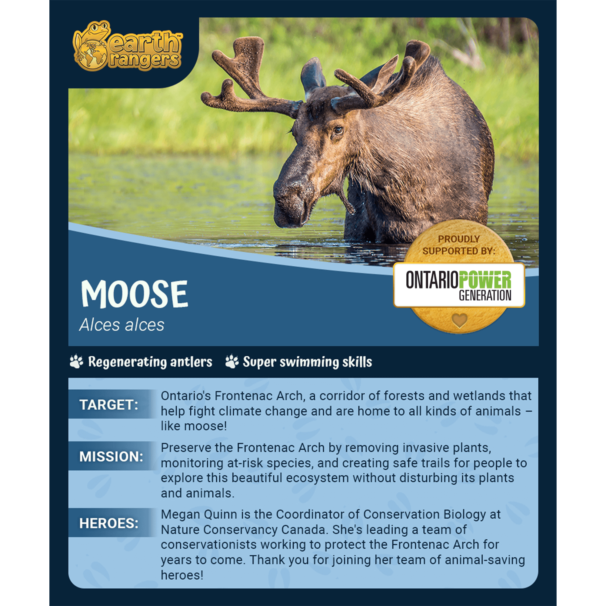 Moose Adoption Kit