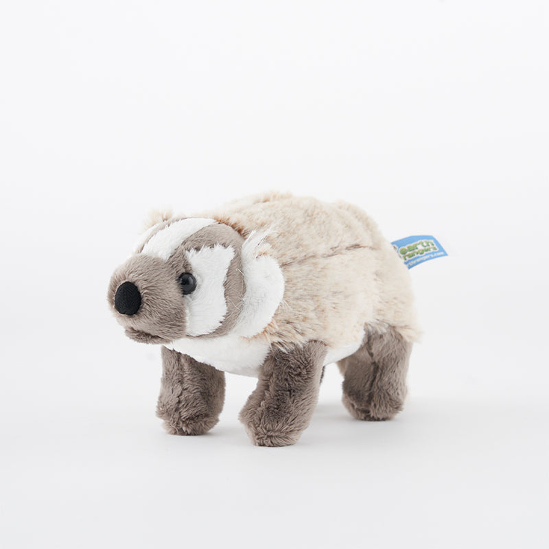 American Badger Adoption Kit