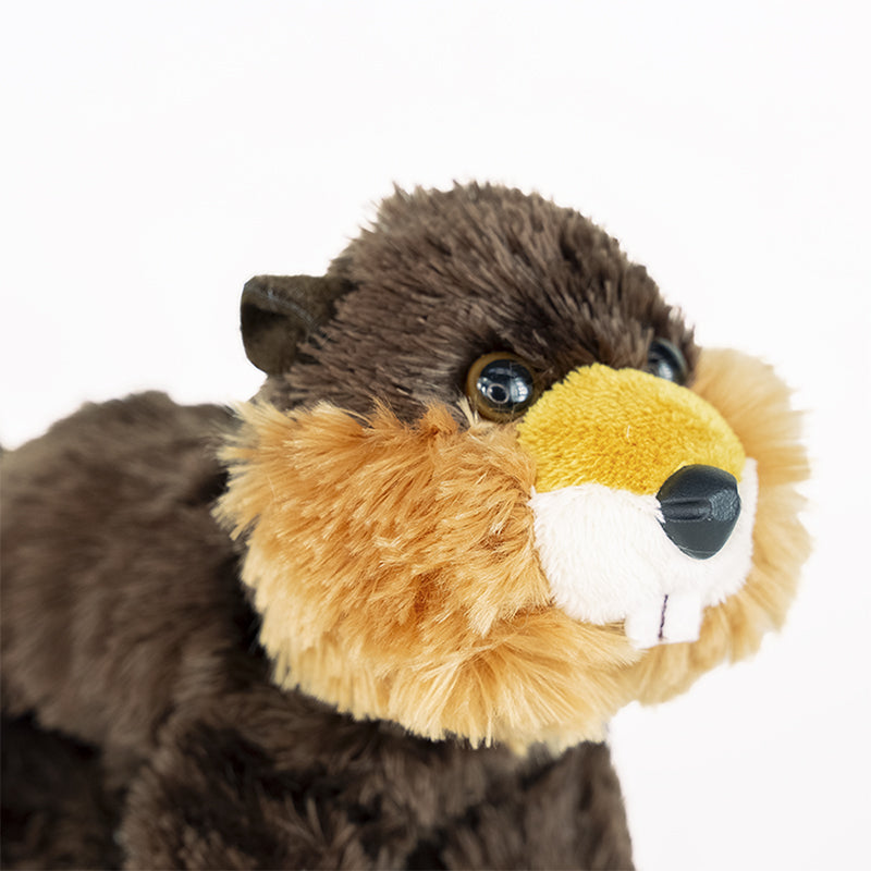 Beaver Adoption Kit - Plush Bundle