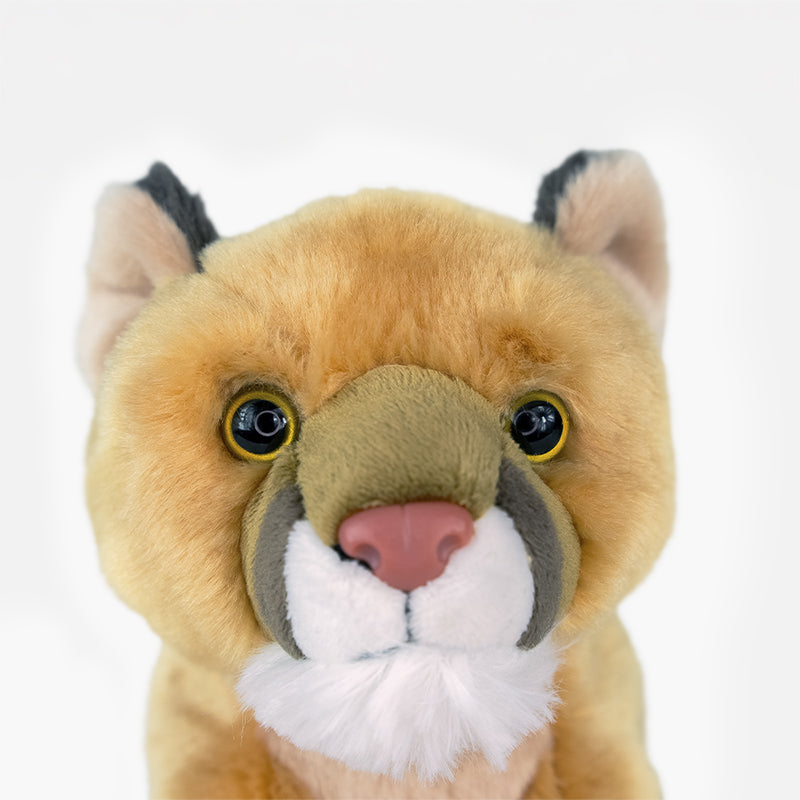 Cougar Adoption Kit - Plush Bundle
