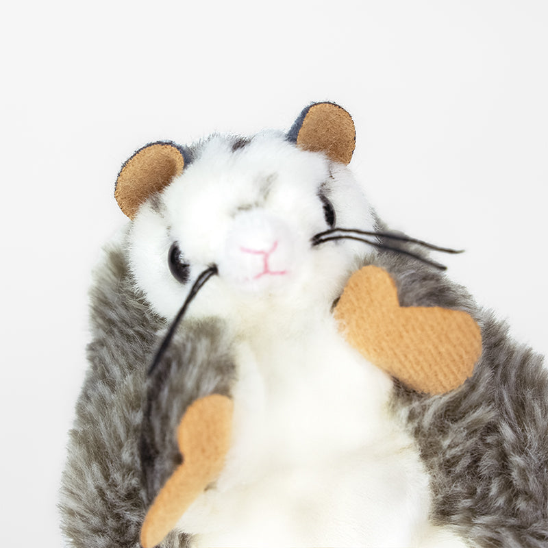 Flying Squirrel Adoption Kit - Plush Bundle