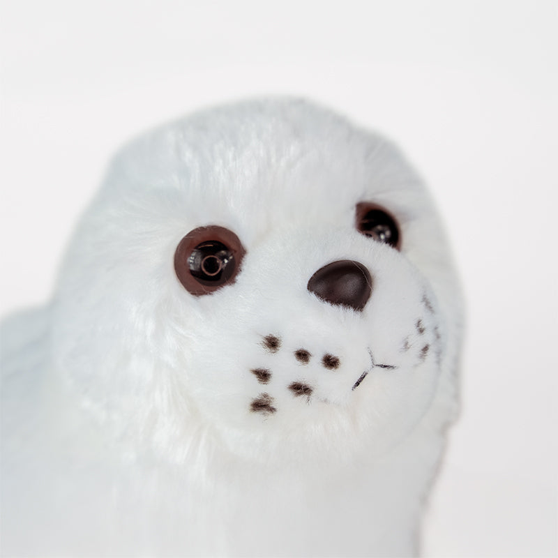 Ringed Seal Adoption Kit