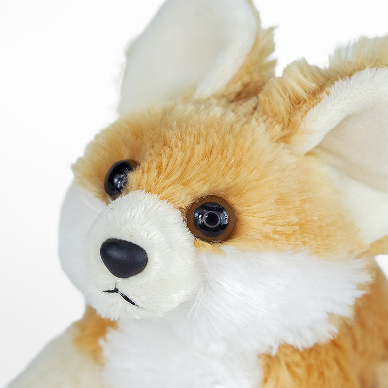 Swift Fox Adoption Kit