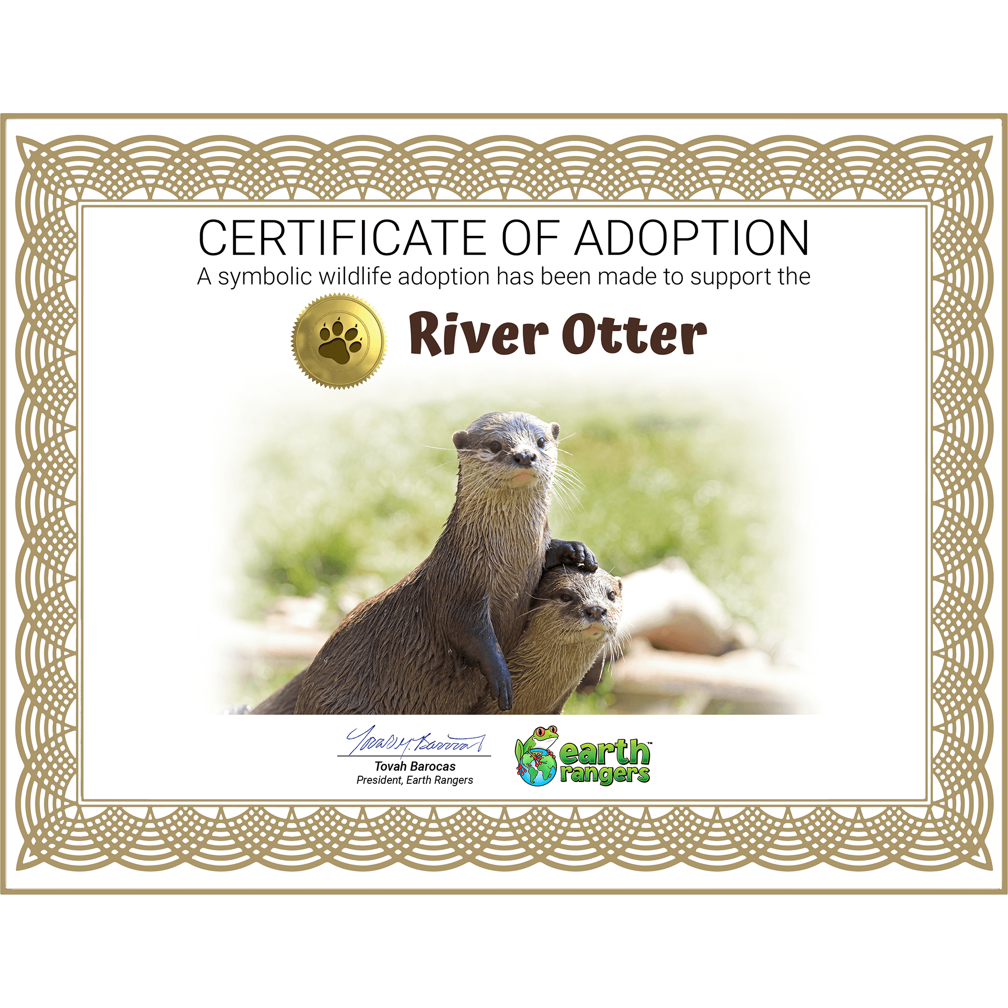 River Otter Adoption Kit - Plush Bundle