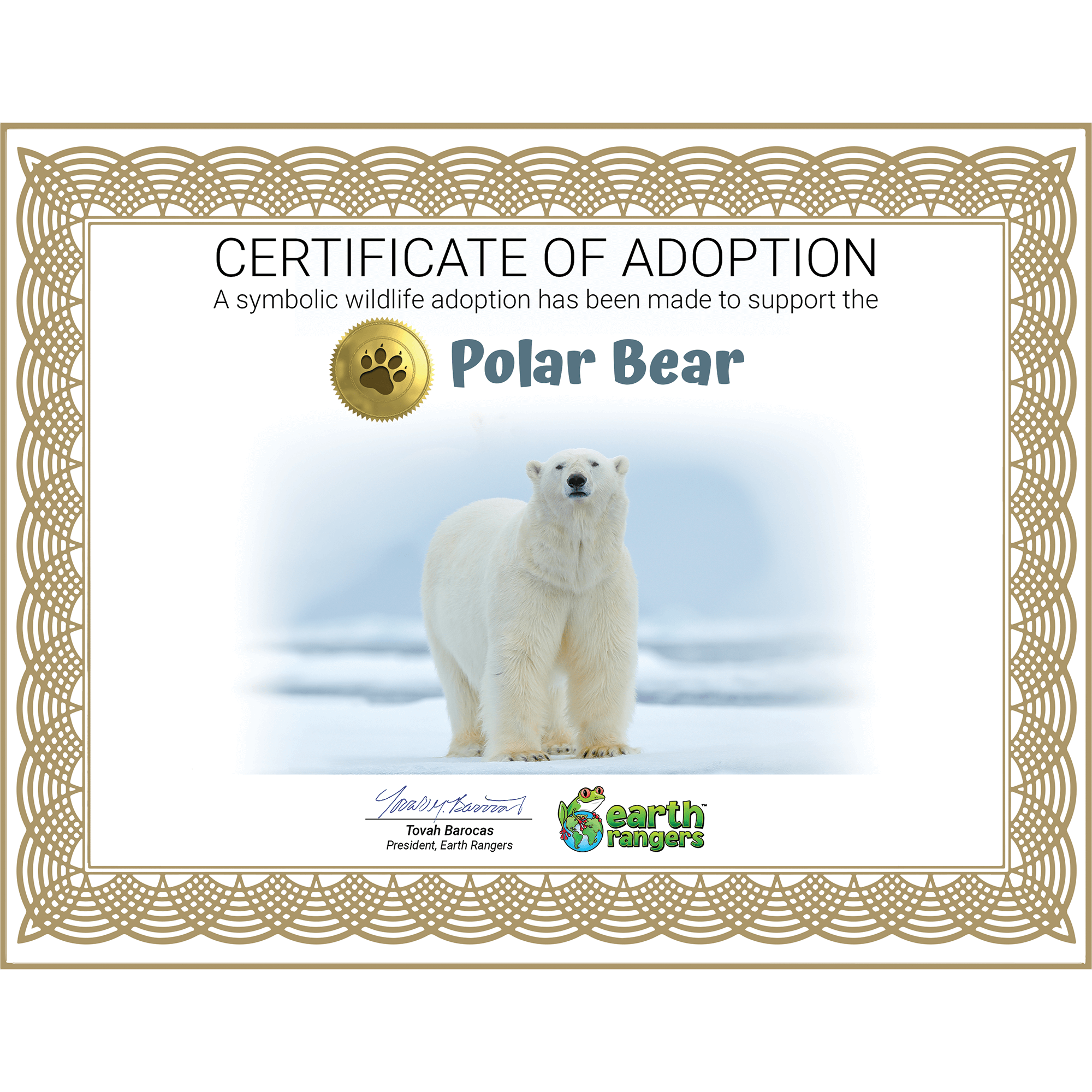 Polar Bear Adoption Kit