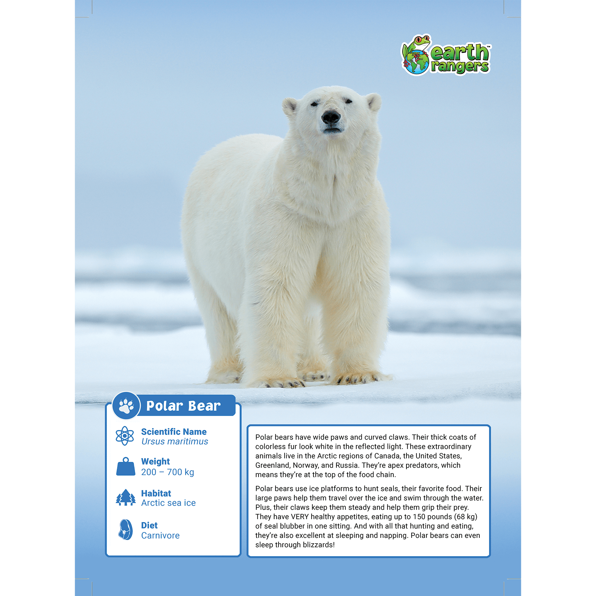Polar Bear Adoption Kit