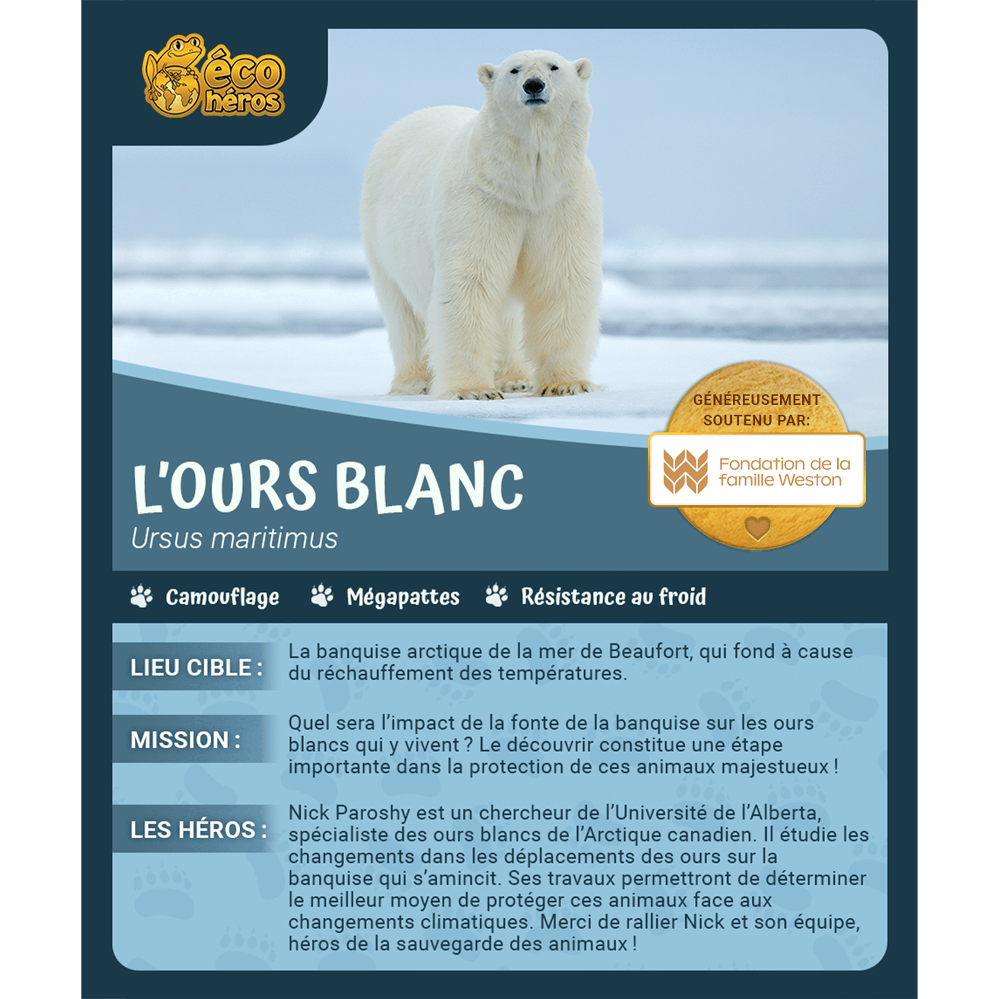 Ensemble d’adoption de l'ours blanc - Peluche