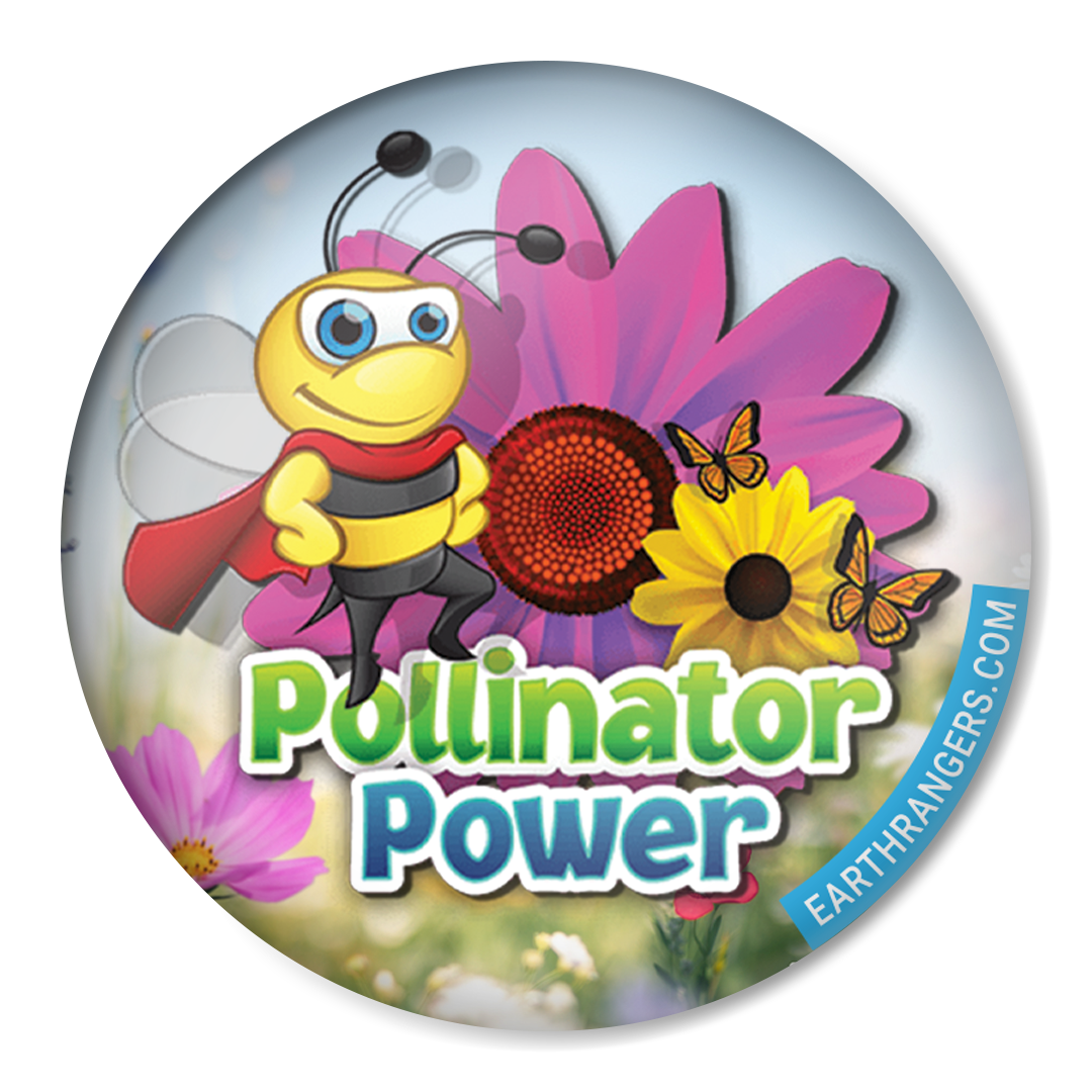 Earth Rangers Mission Badges