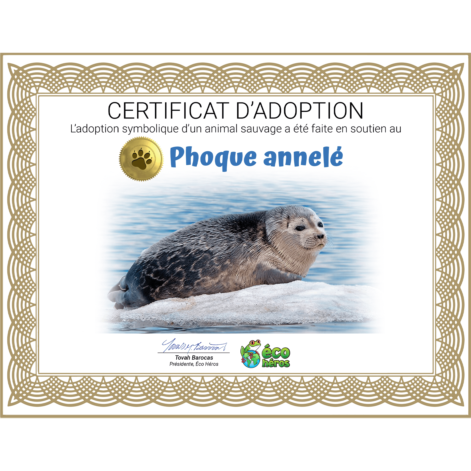 Ensemble d’adoption de phoque annelé - Peluche