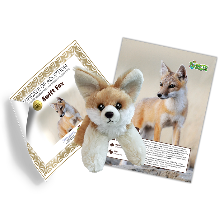 Ensemble d’adoption du renard véloce - Peluche