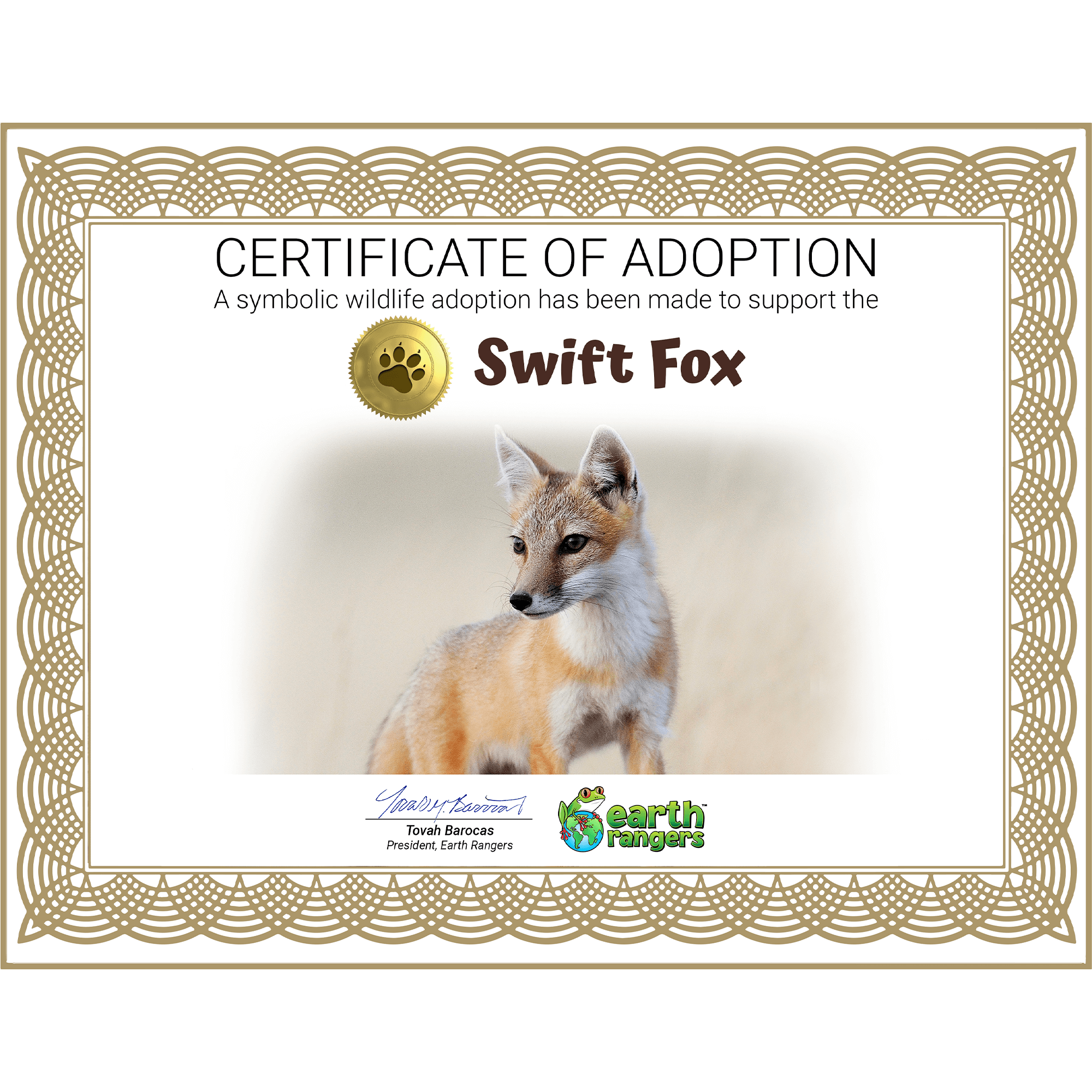 Swift Fox Adoption Kit