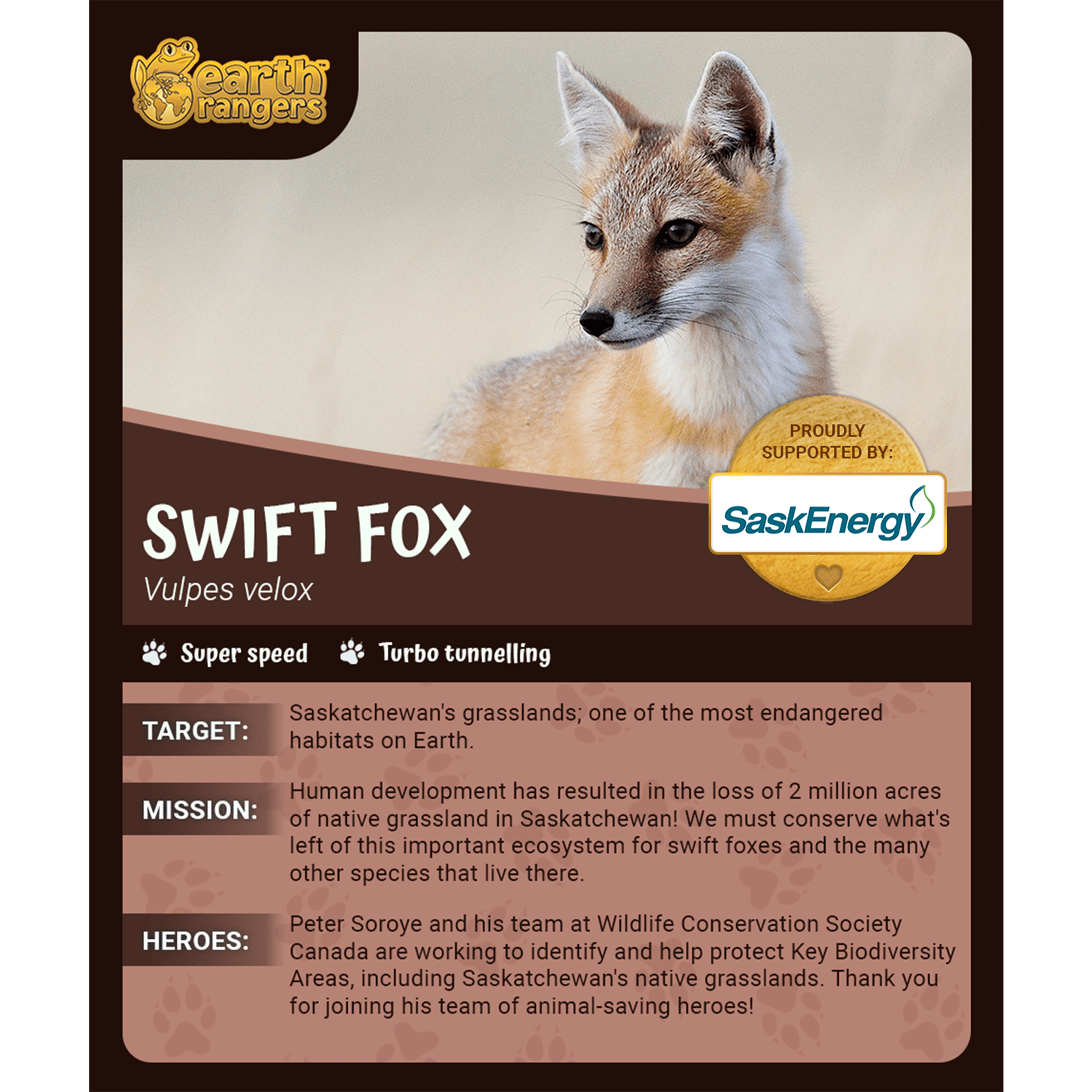 Swift Fox Adoption Kit