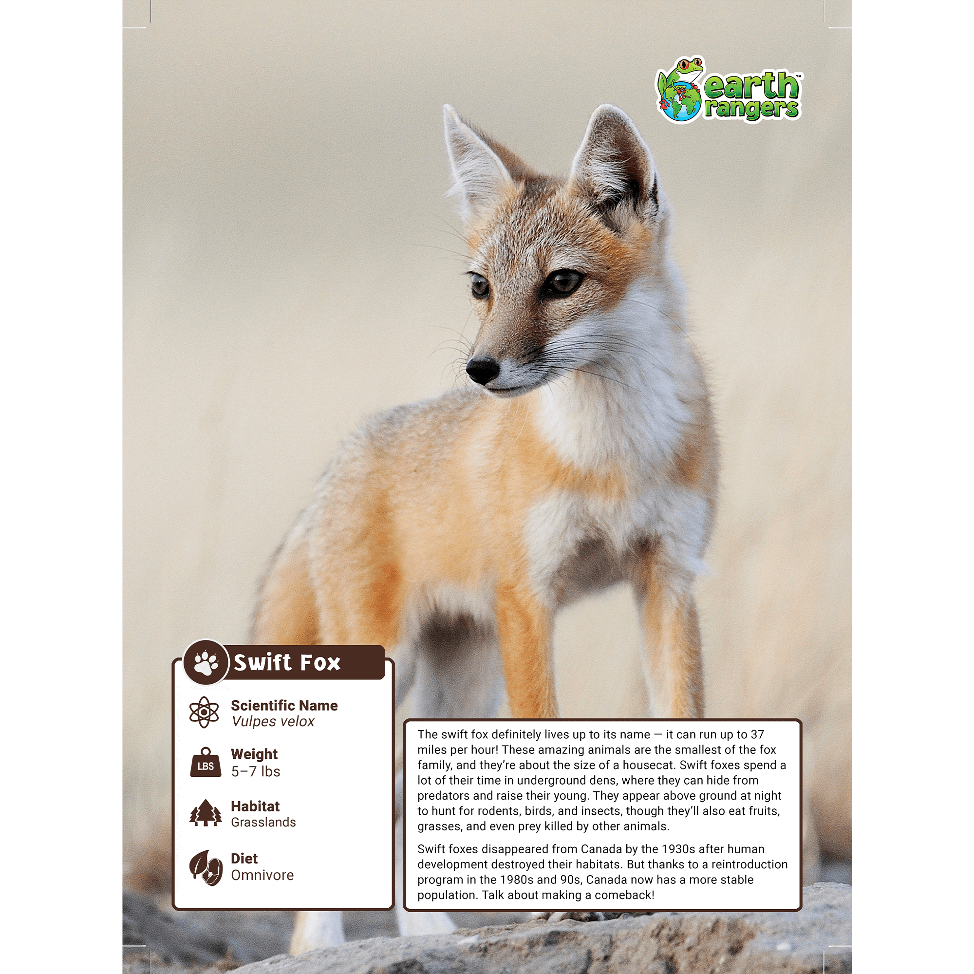 Swift Fox Adoption Kit