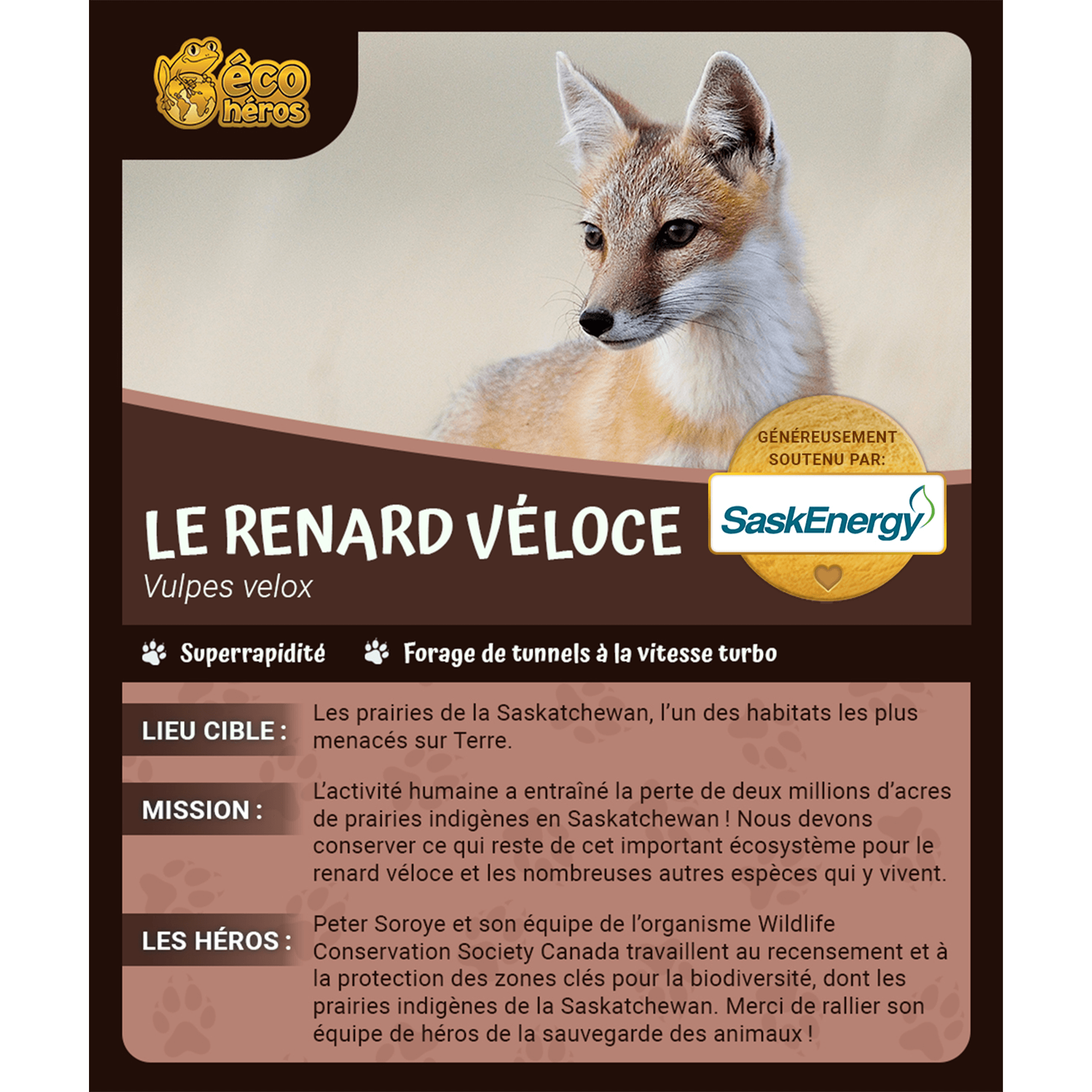 Ensemble d'adoption du renard véloce