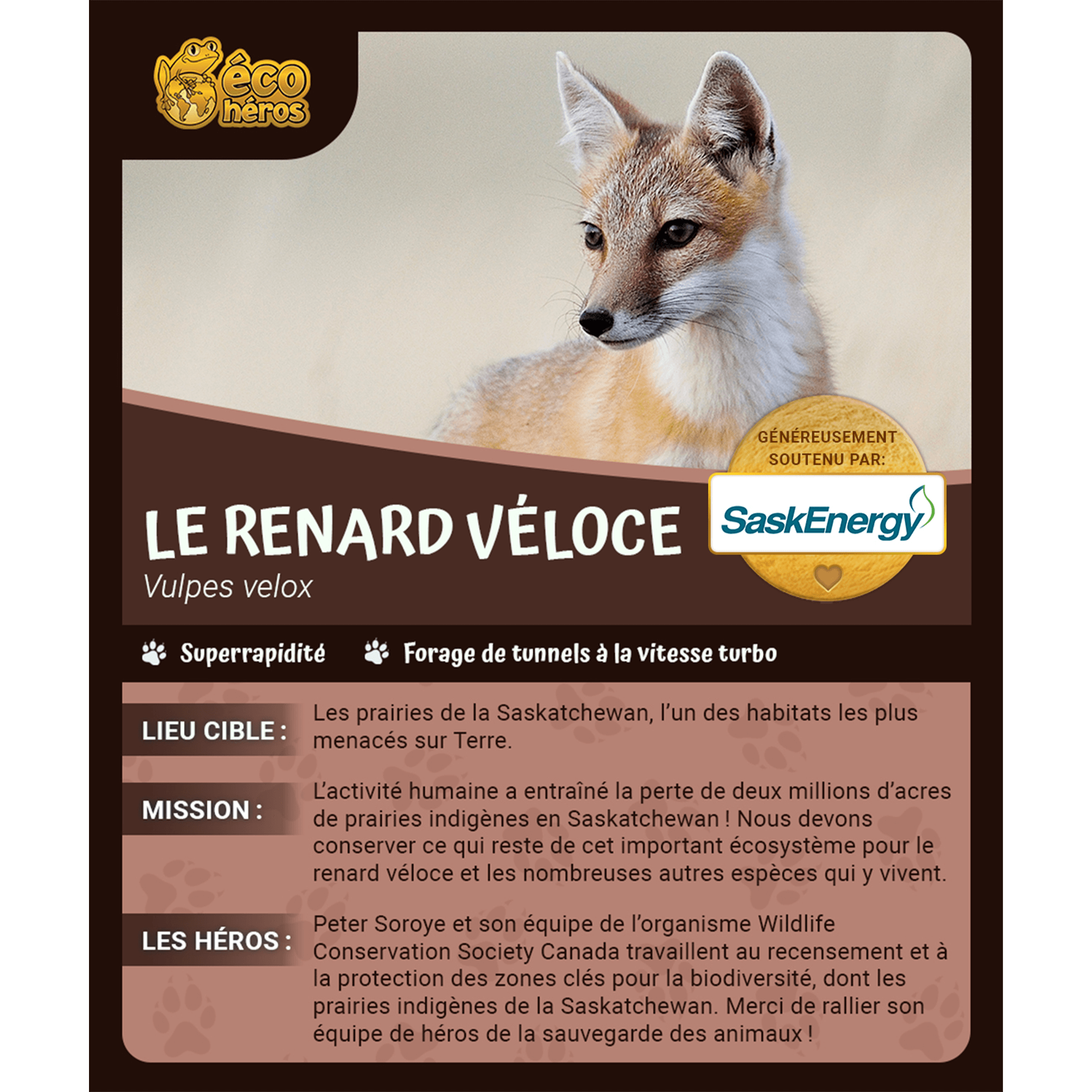 Ensemble d’adoption du renard véloce - Peluche