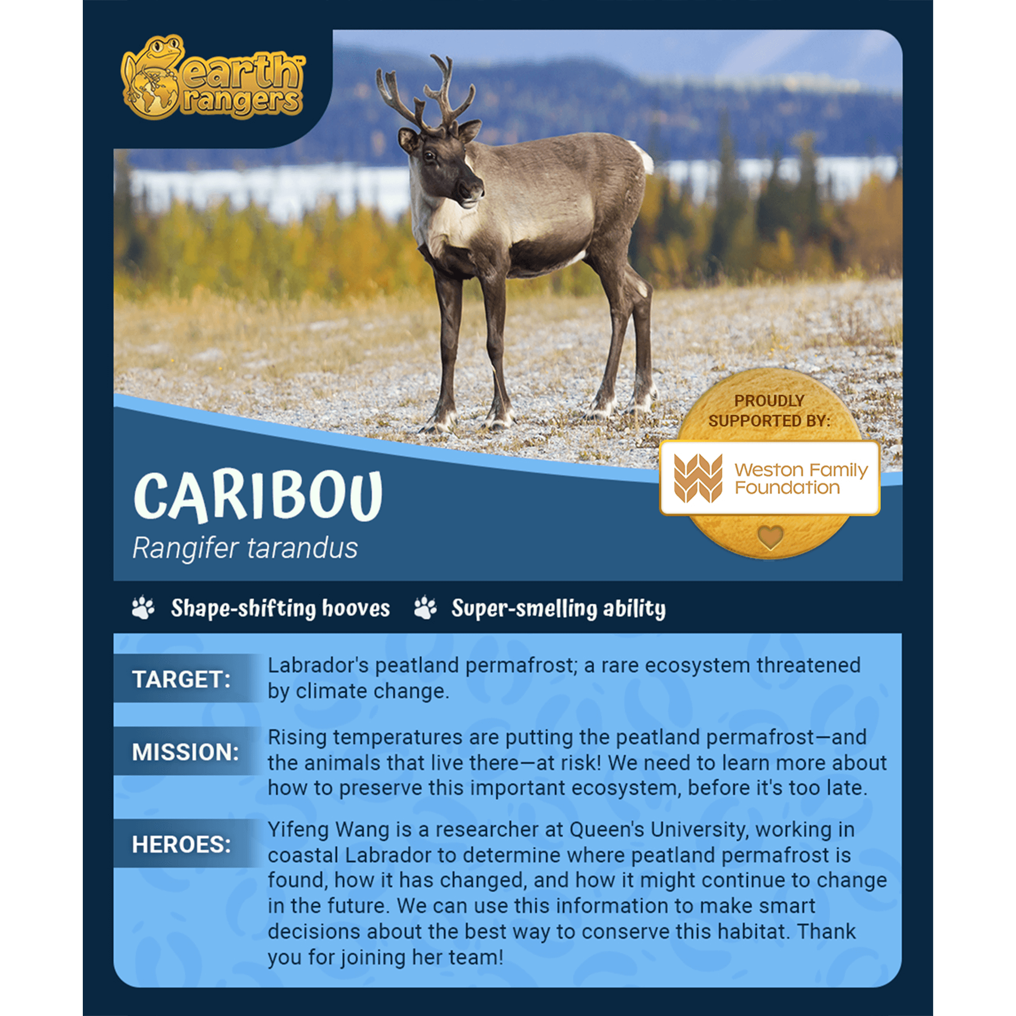 Caribou Adoption Kit