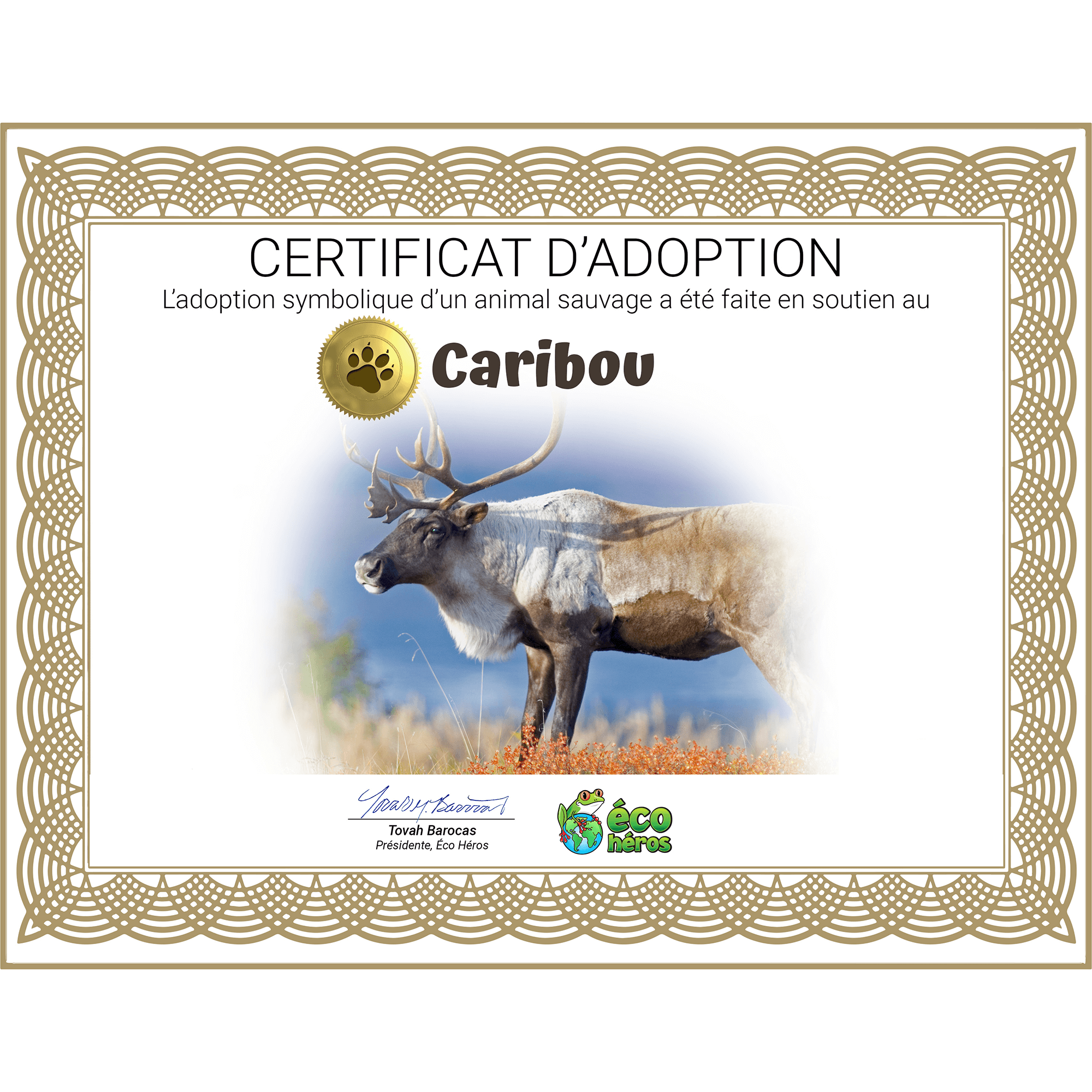 Ensemble d’adoption de caribou - Peluche