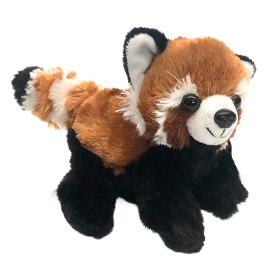 Ensemble d’adoption de panda roux - Peluche