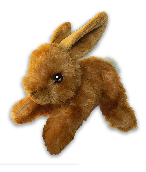 Ensemble d’adoption du lièvre d'Amérique - Peluche